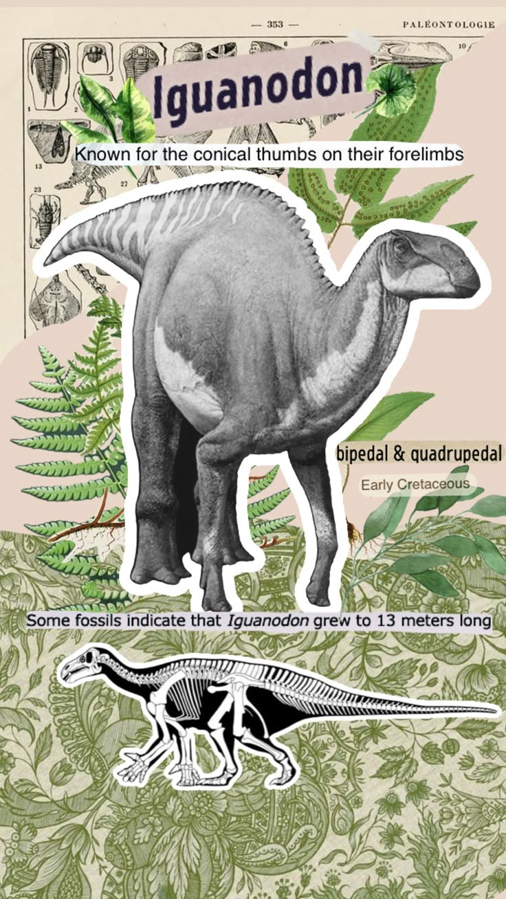 Dinosaur posters, Dinosaur wallpaper