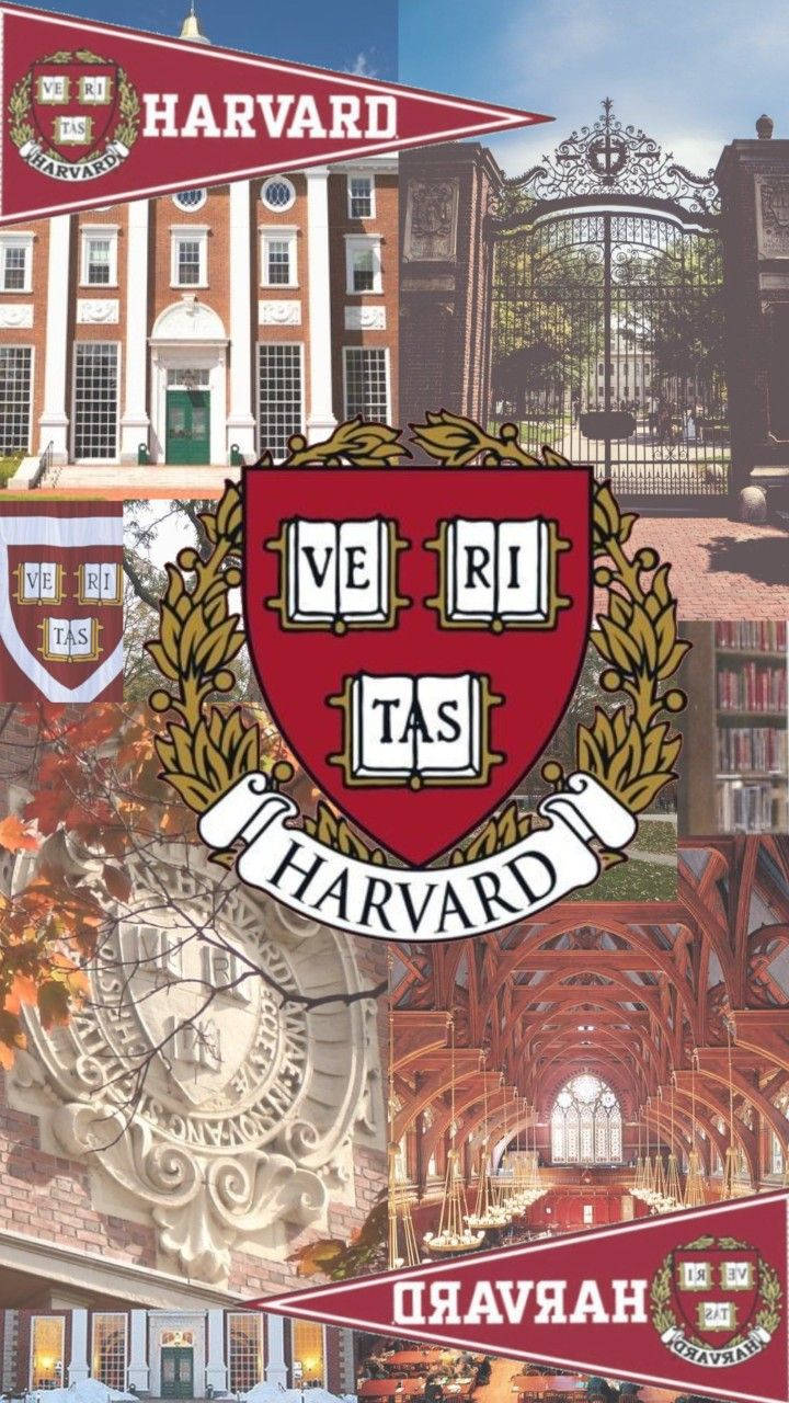 Vibrant Collage Of Harvard University's