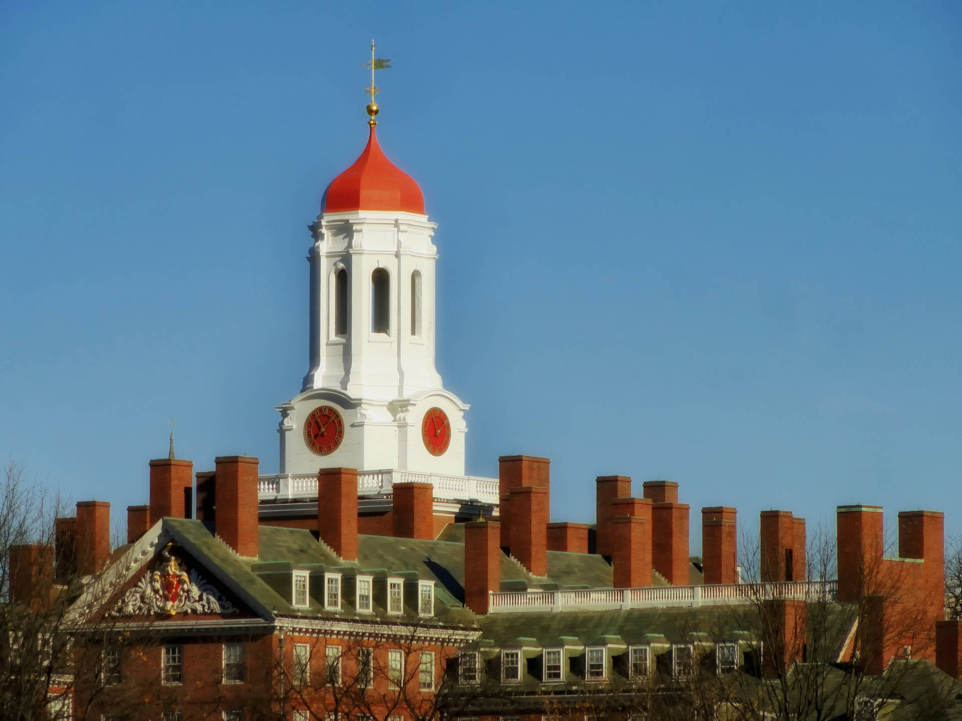 Harvard University Background