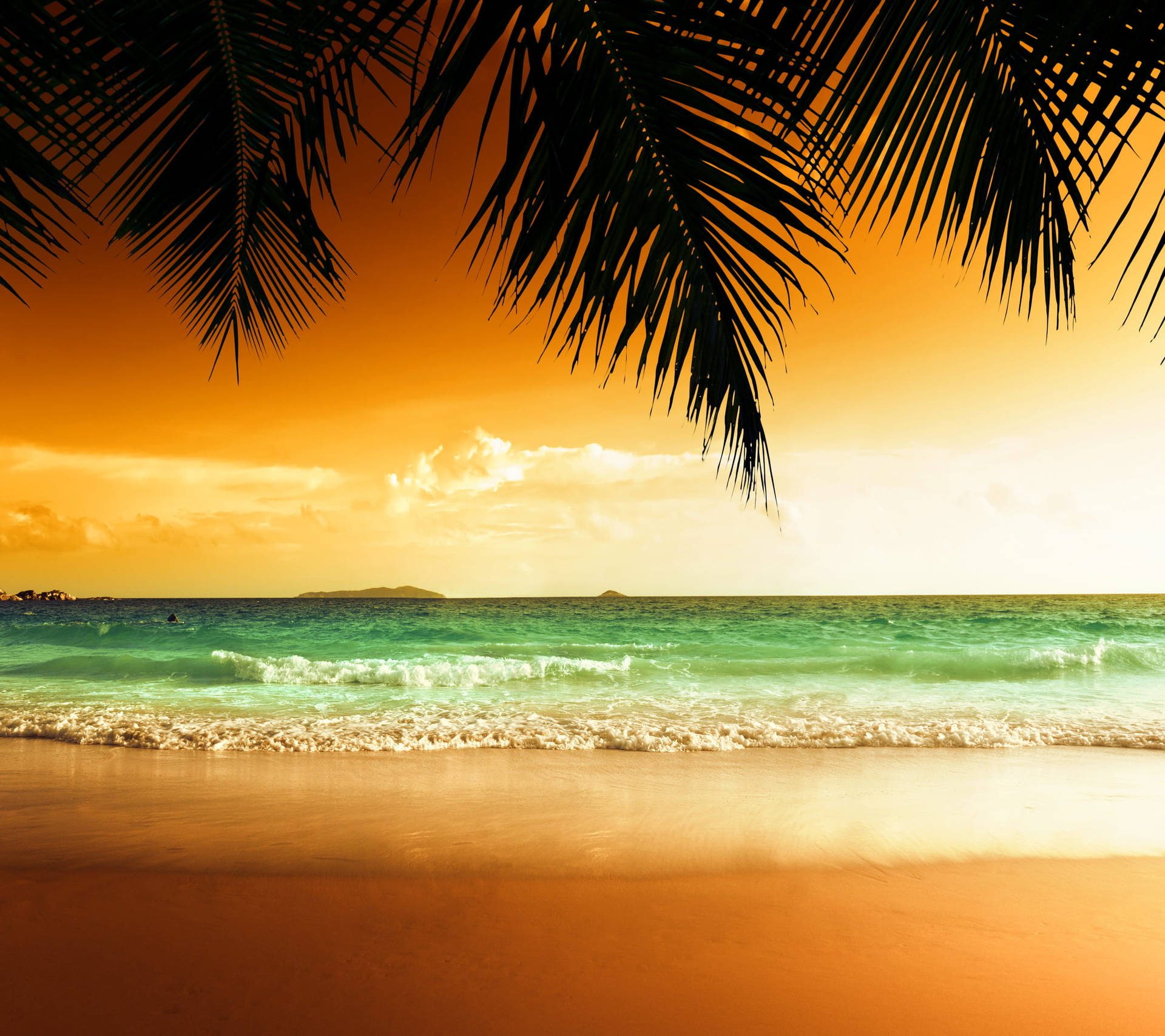 Warm Tinted Beach Tropical Desktop