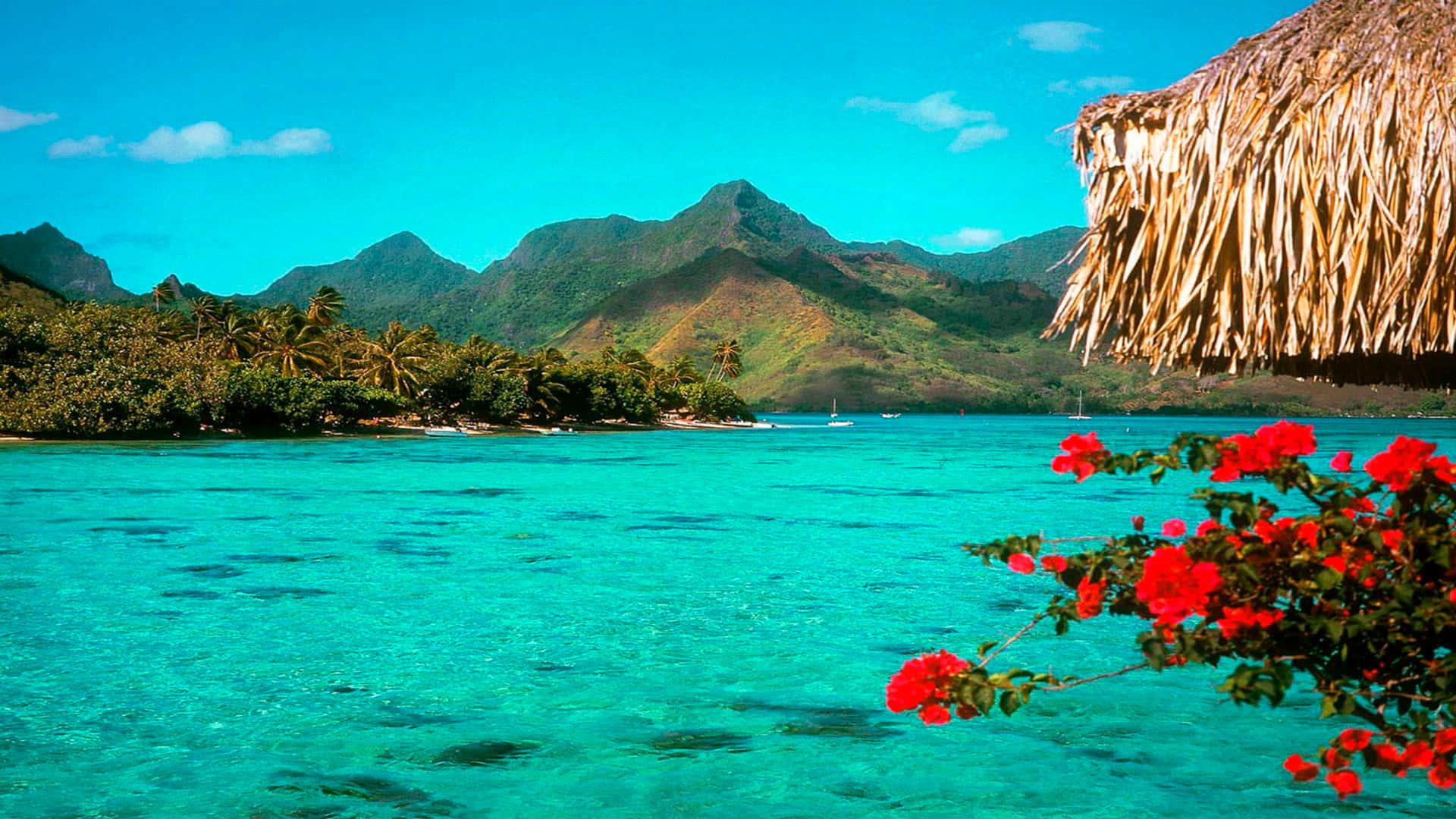 Tropical Island Wallpaper
