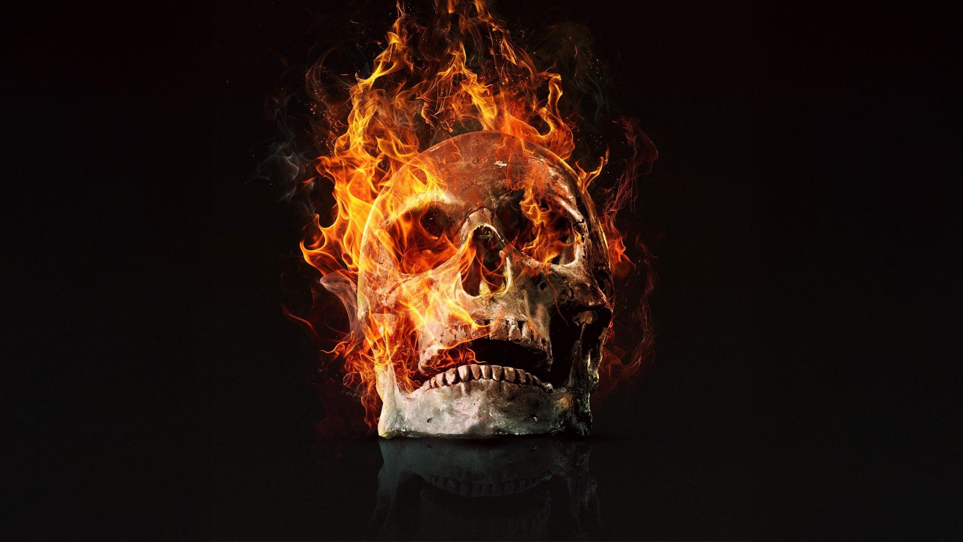 Final Destination 6, covers