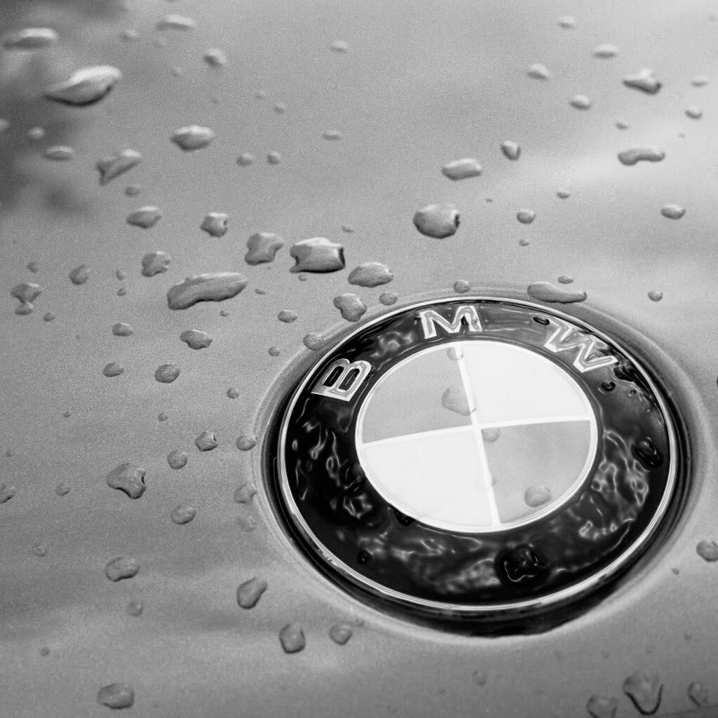 BMW Logo / Good