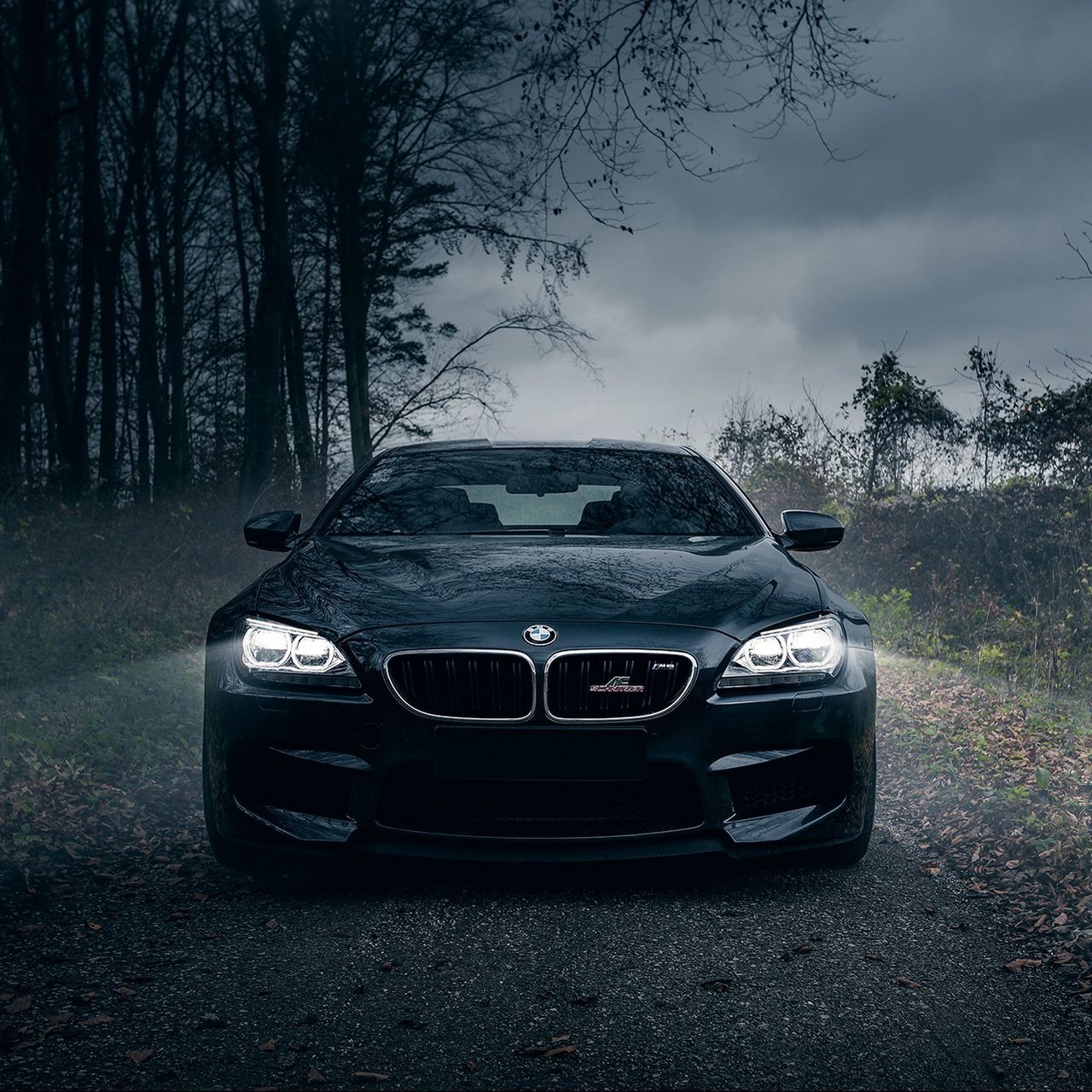Download wallpaper 1280x1280 bmw m6