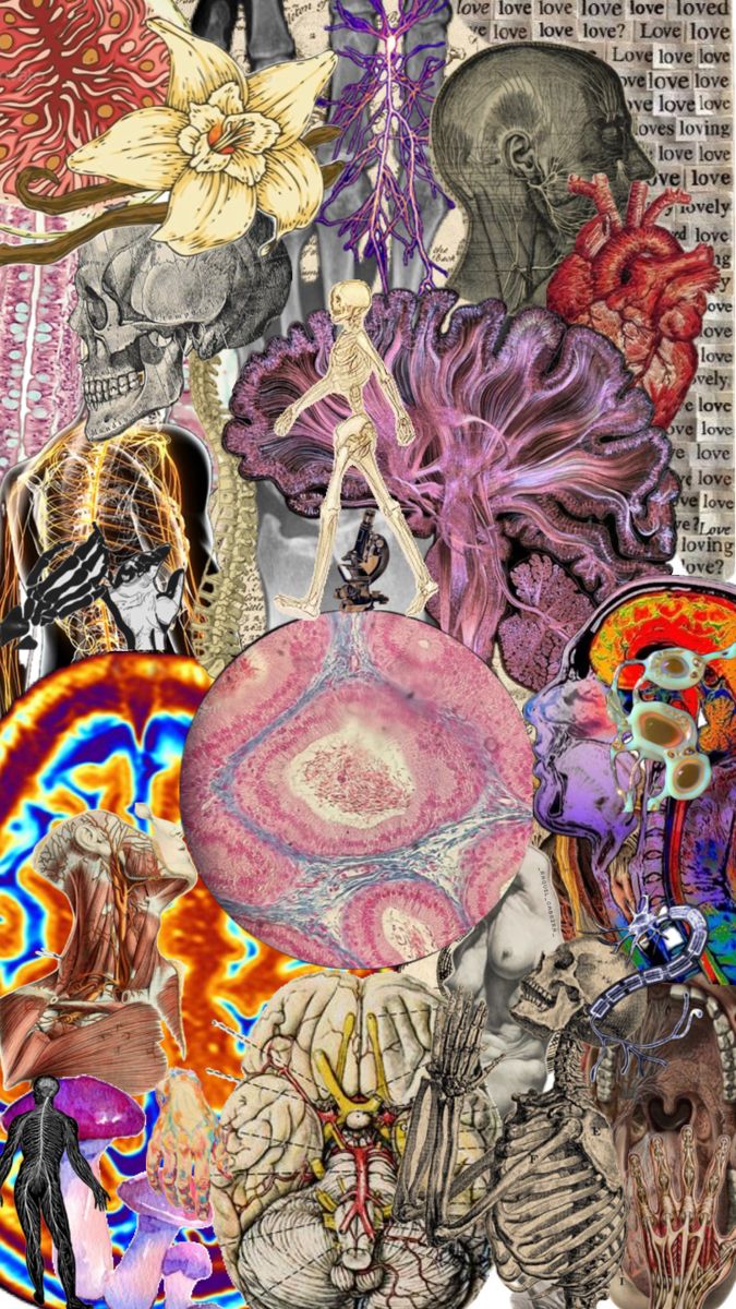 Fondo de pantalla de MEDICINA