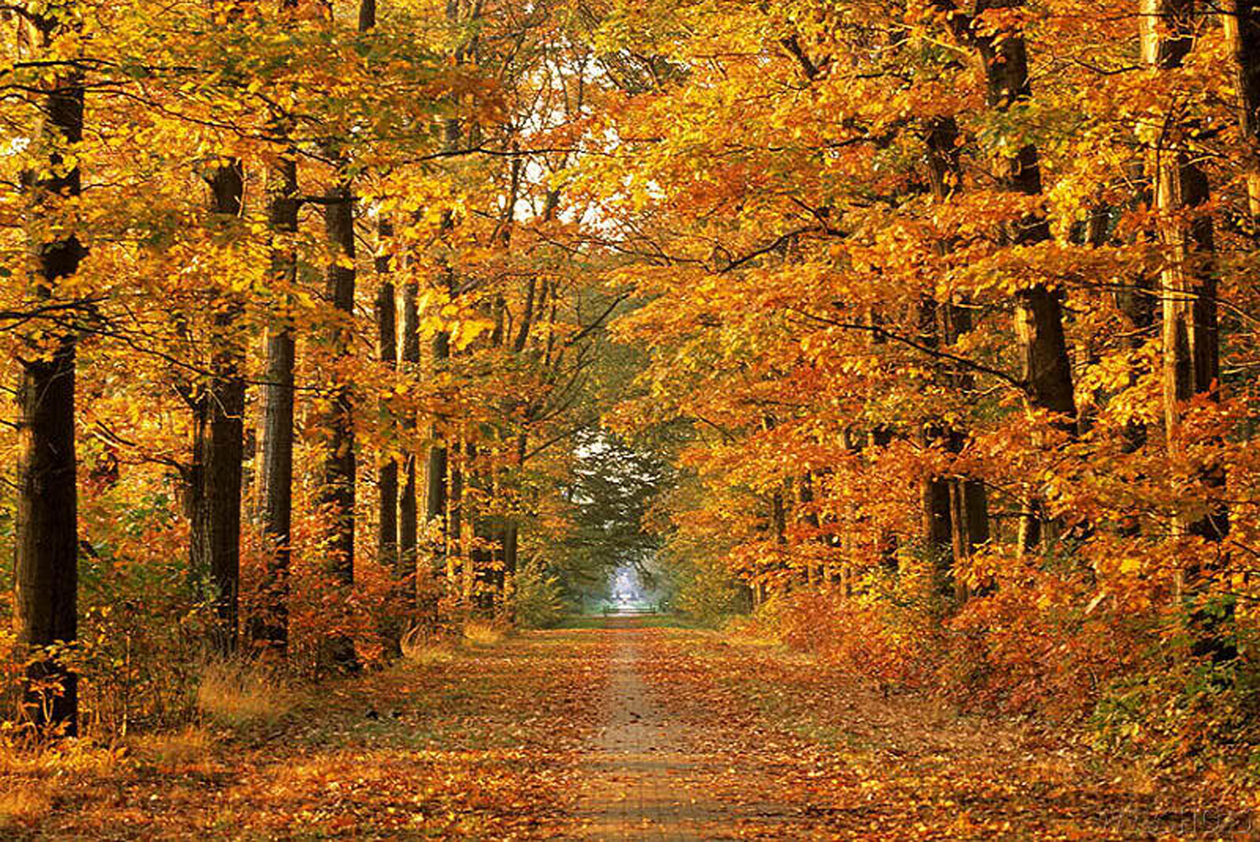 Tim Grahl: A Gratitude Interview Gift