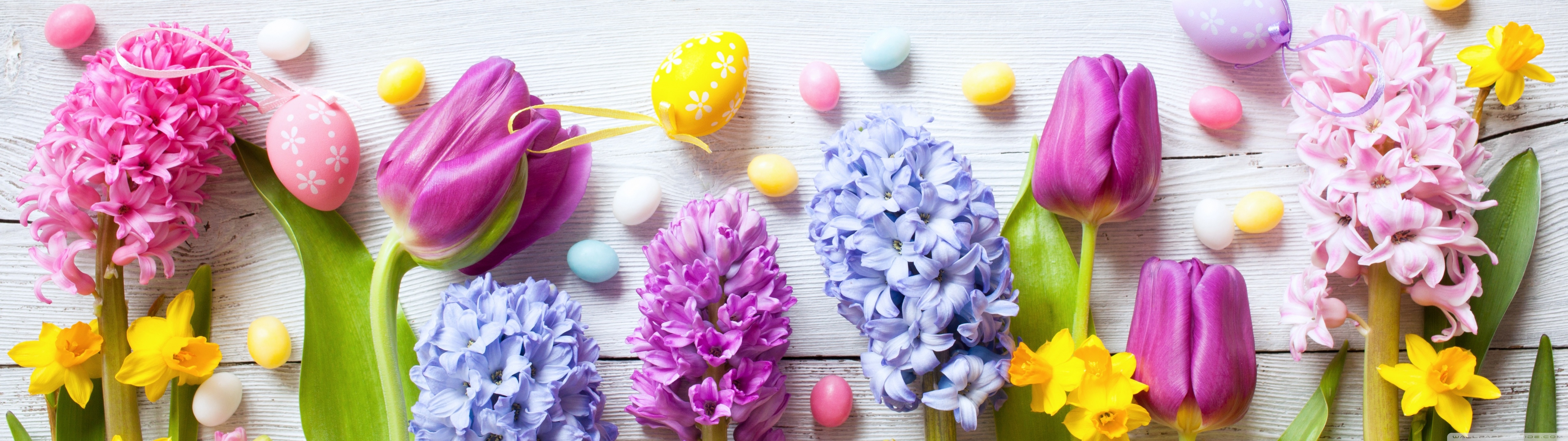 Spring Flowers Easter 2022 Ultra HD