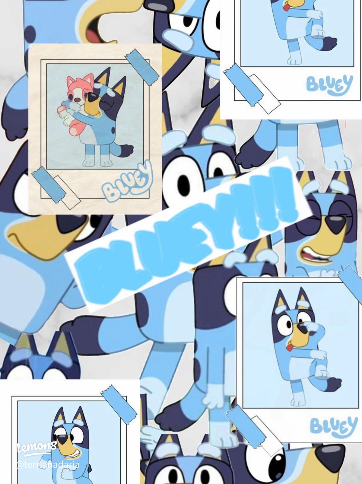 Vibrant Bluey Wallpaper for Fans