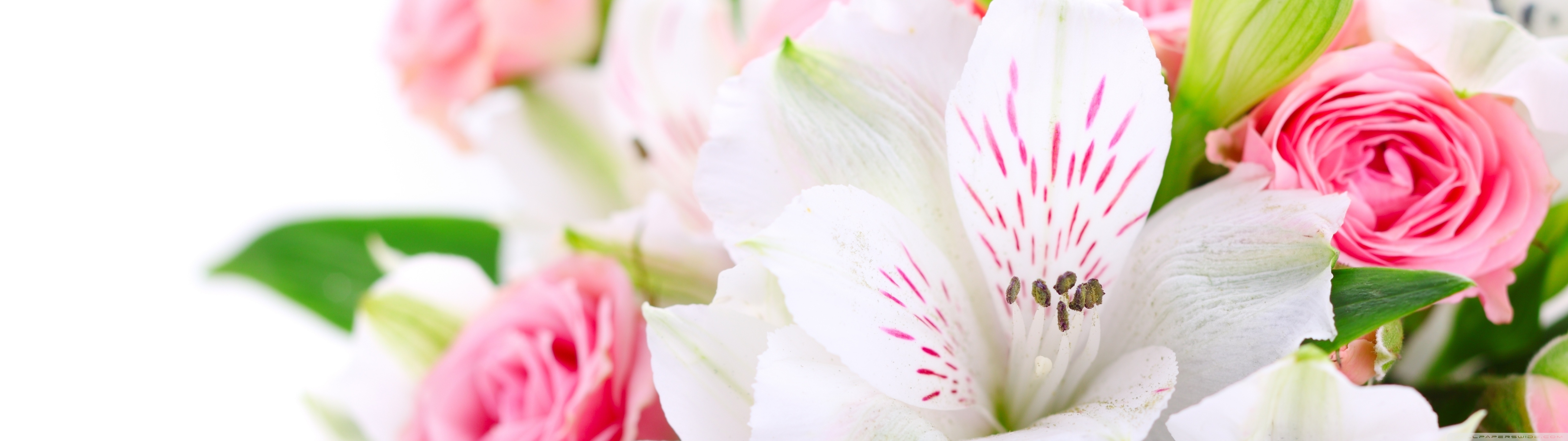 Bouquet Of Flowers Ultra HD Wallpaper