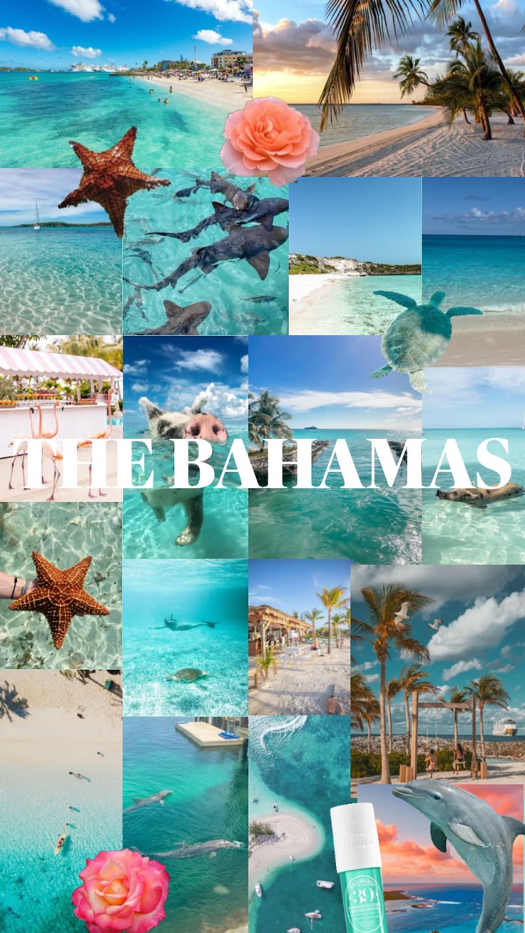 the bahamas!!