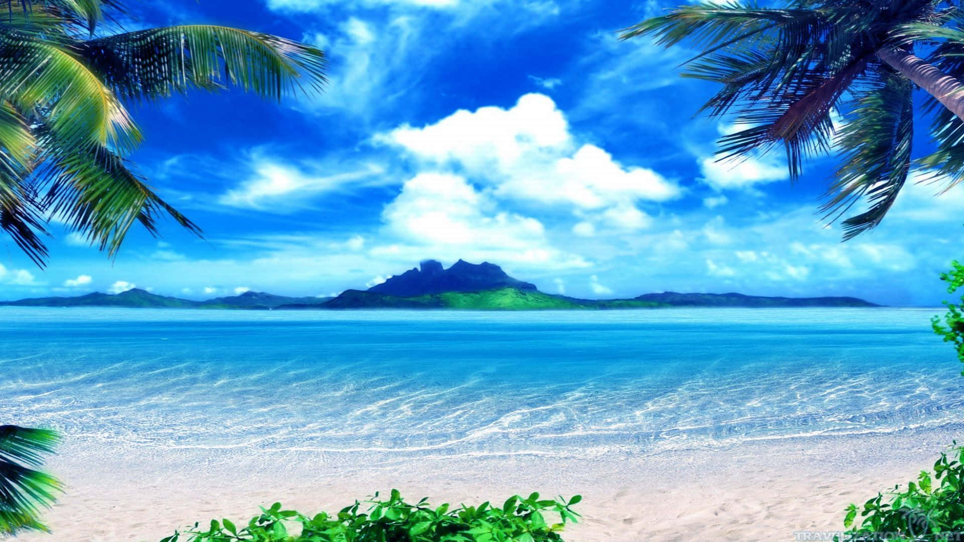 Download Beach Scene Studio Backdrop