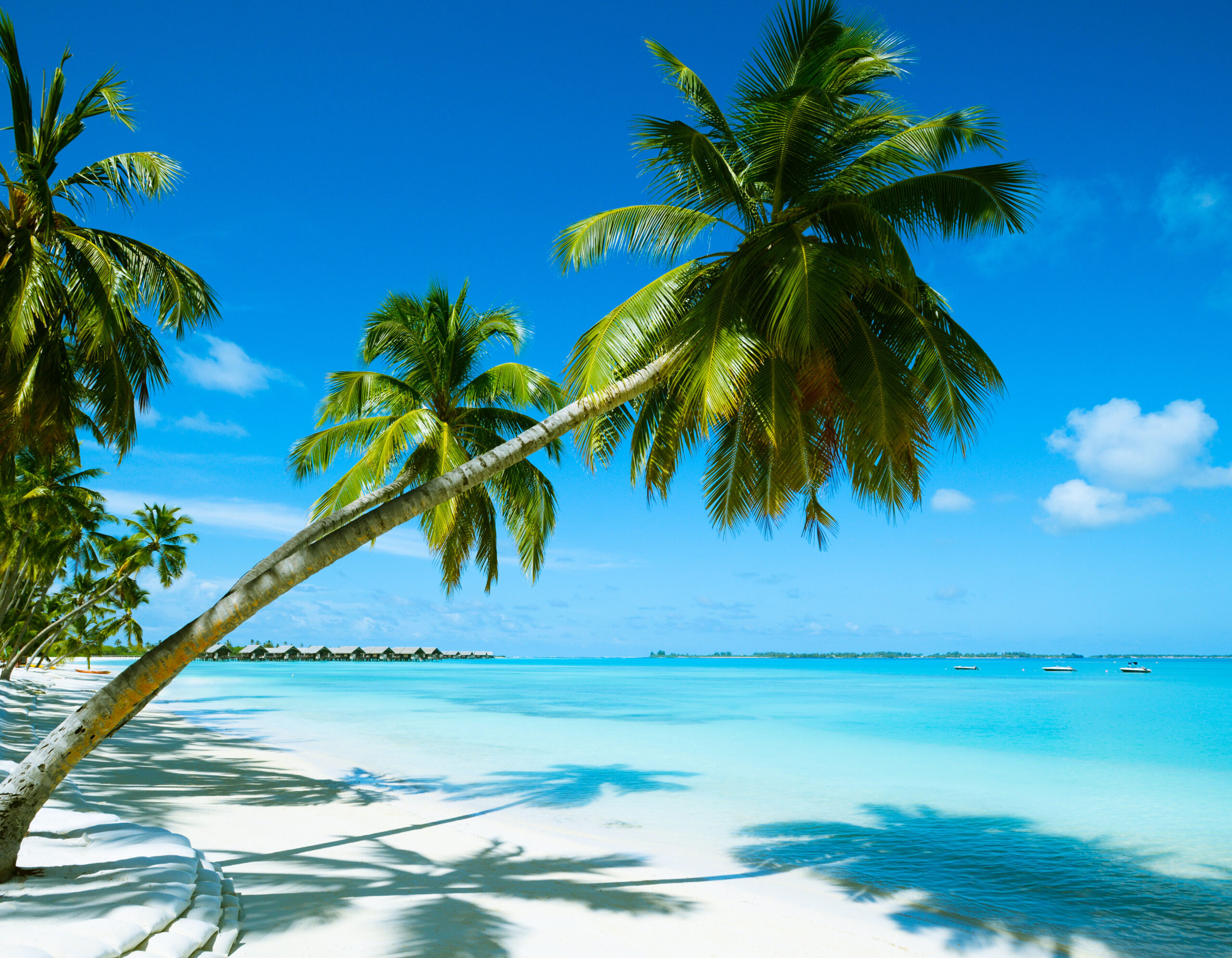 Bahamas Yacht Charter