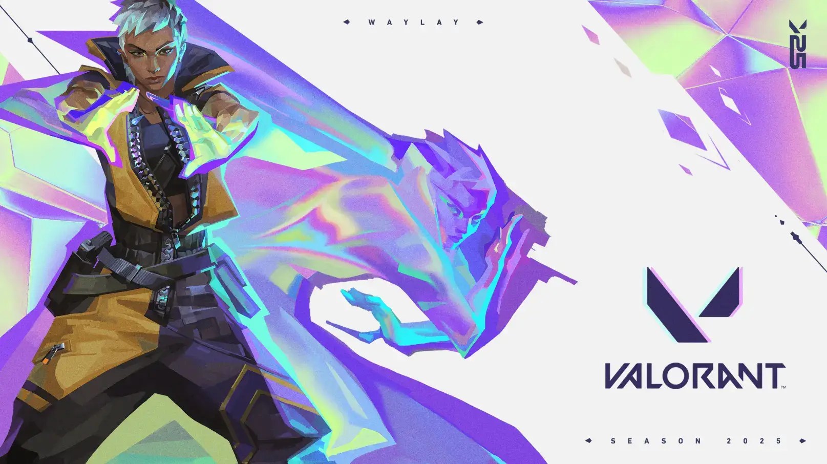 Best Valorant Agents For Beginners