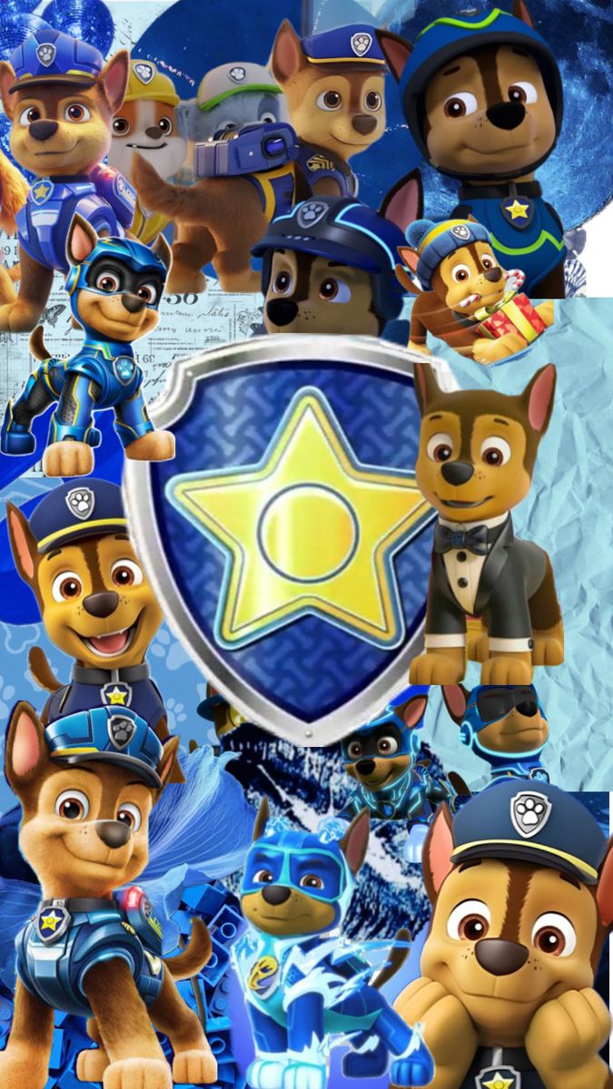Paw patrol cartoon, Chase paw patrol