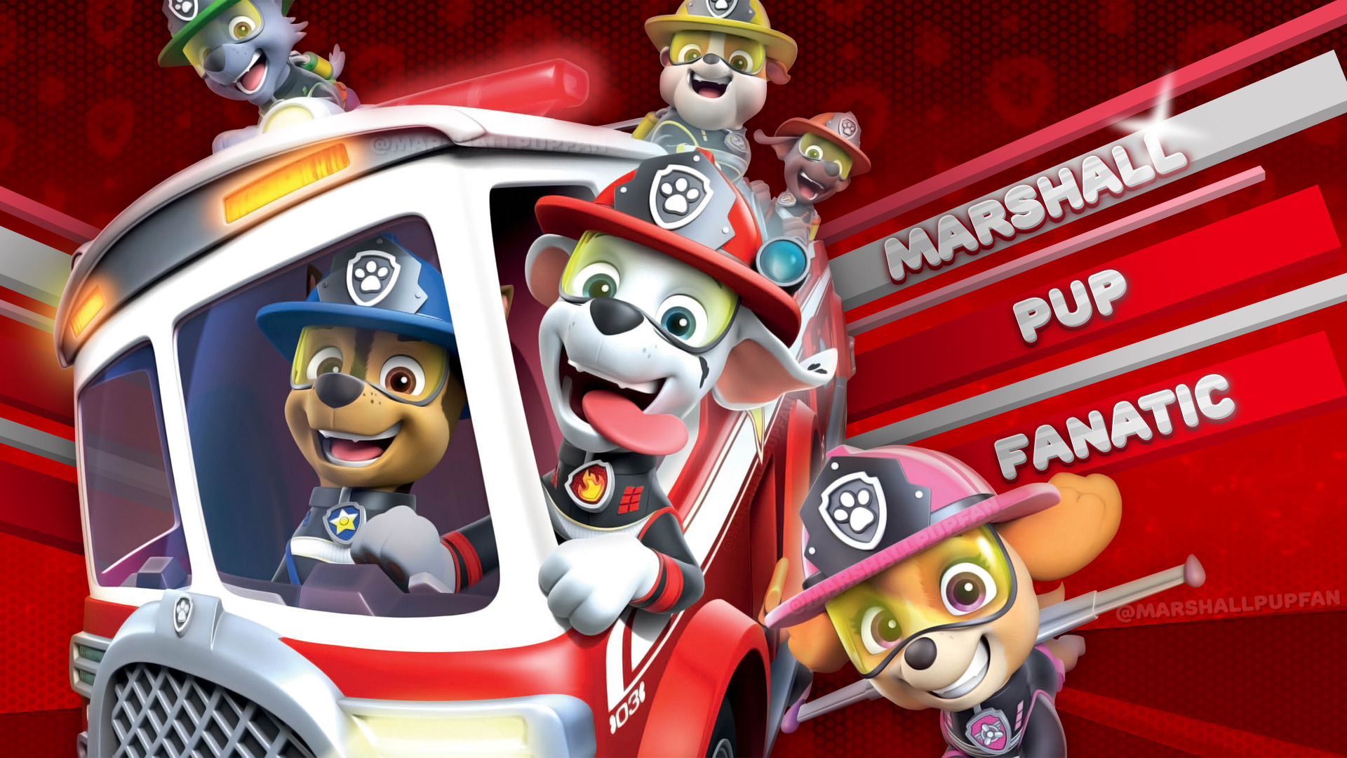 PAW patrol