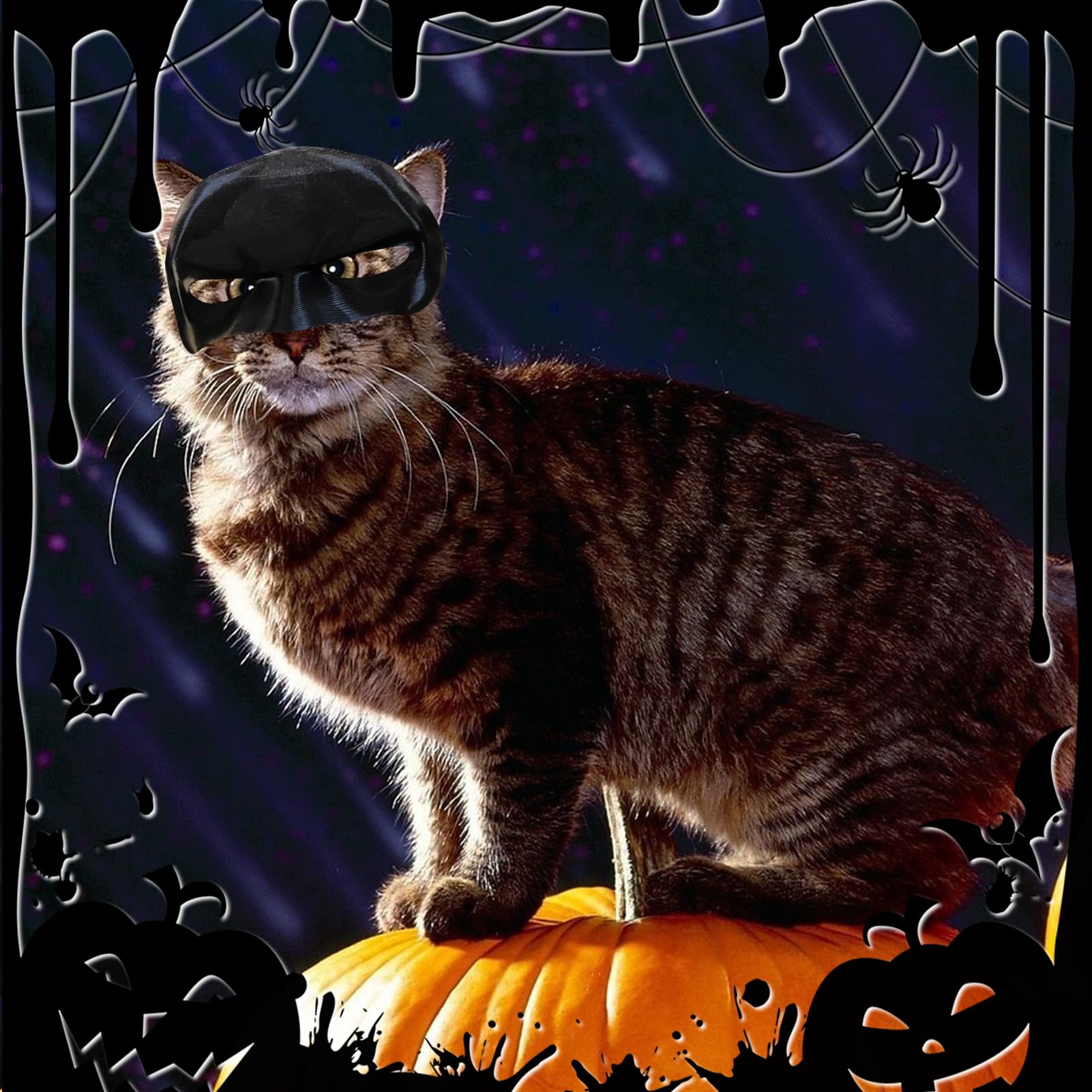 Cat, Batcat Mask Cat, Cat Bat Cosplay