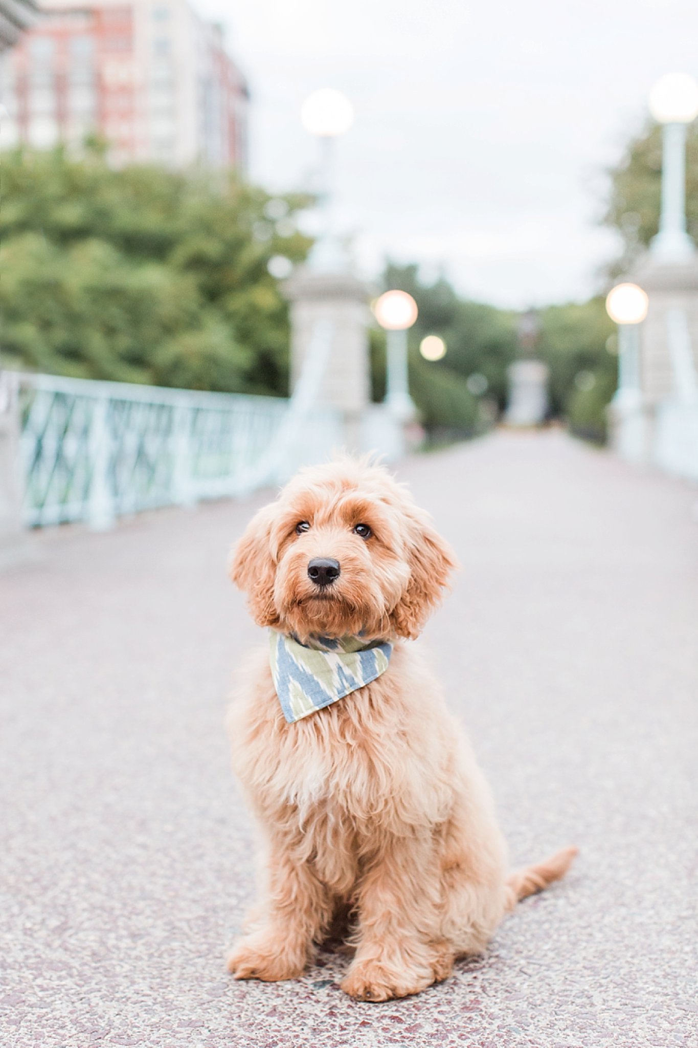 Lauren Dobish Photography