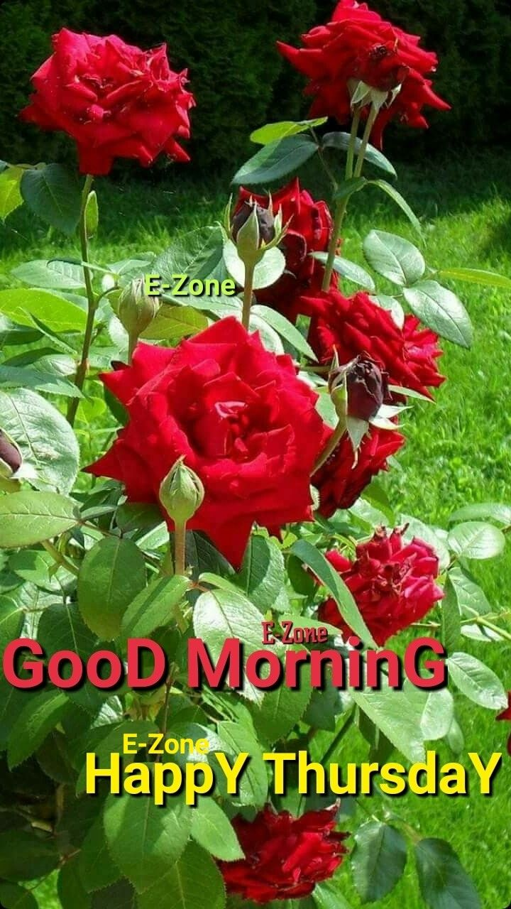 Good morning happy 2025 thursday