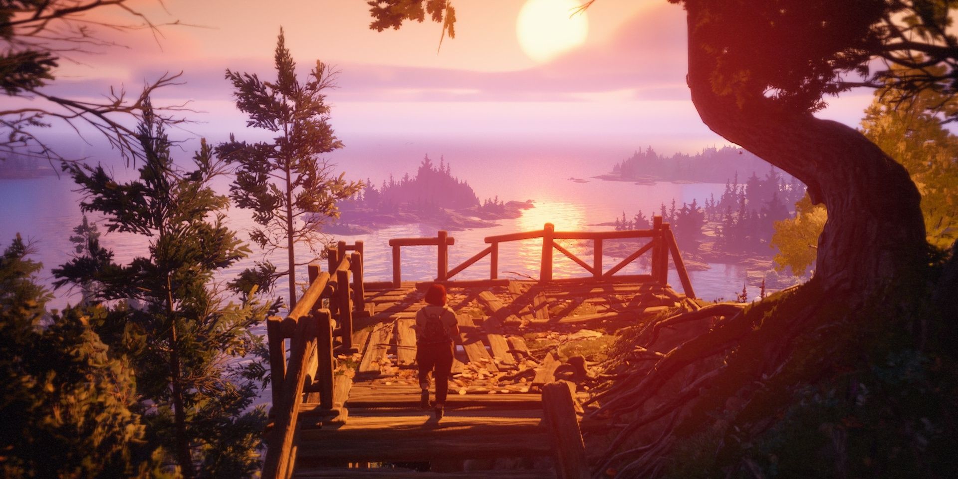 Lost Records: Bloom & Rage Tape 1 Is an