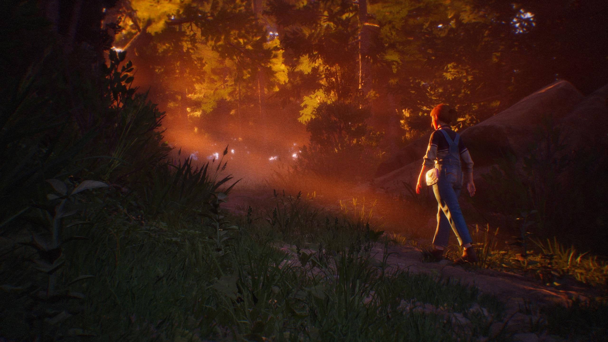 SPOILERS Lost Records: Bloom & Rage