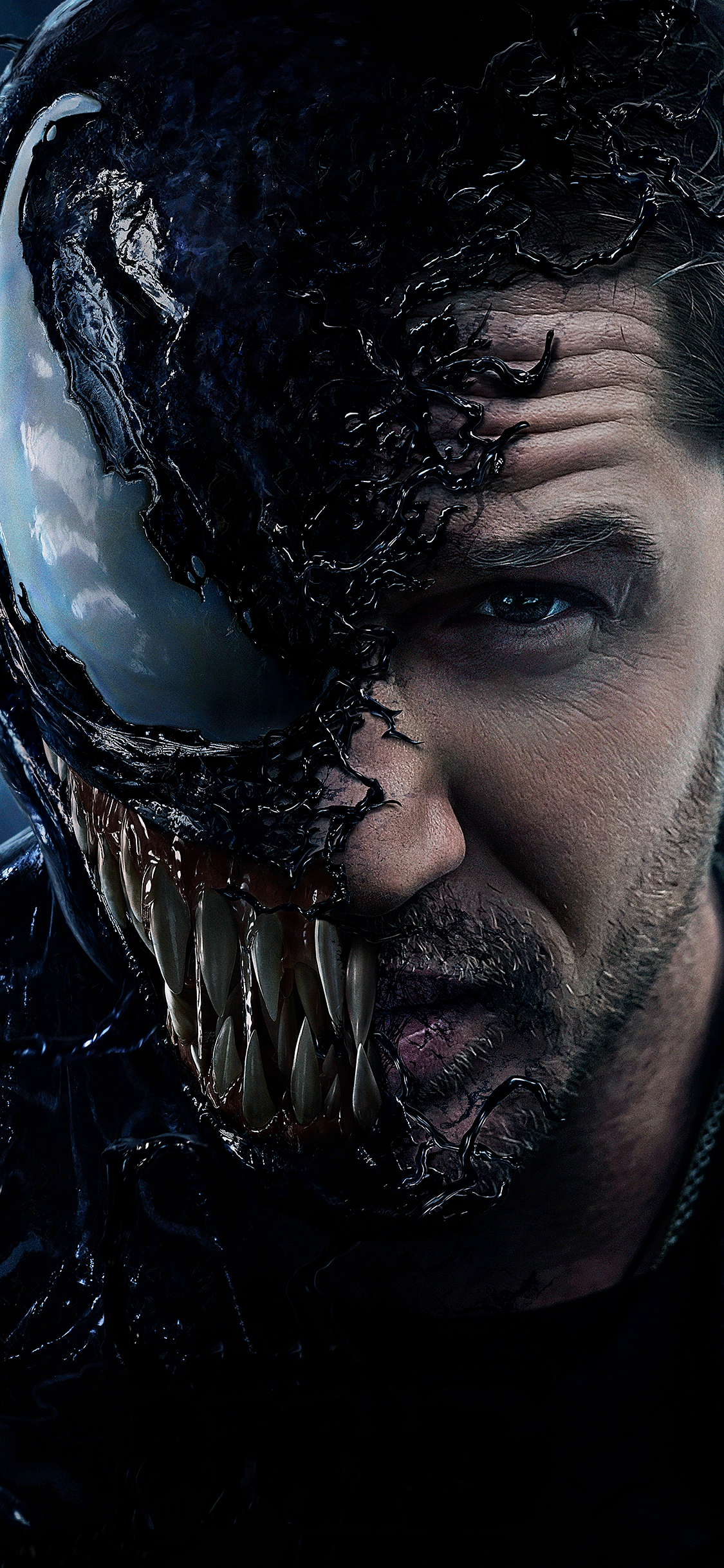 Venom Wallpaper for iPhone 11, Pro Max