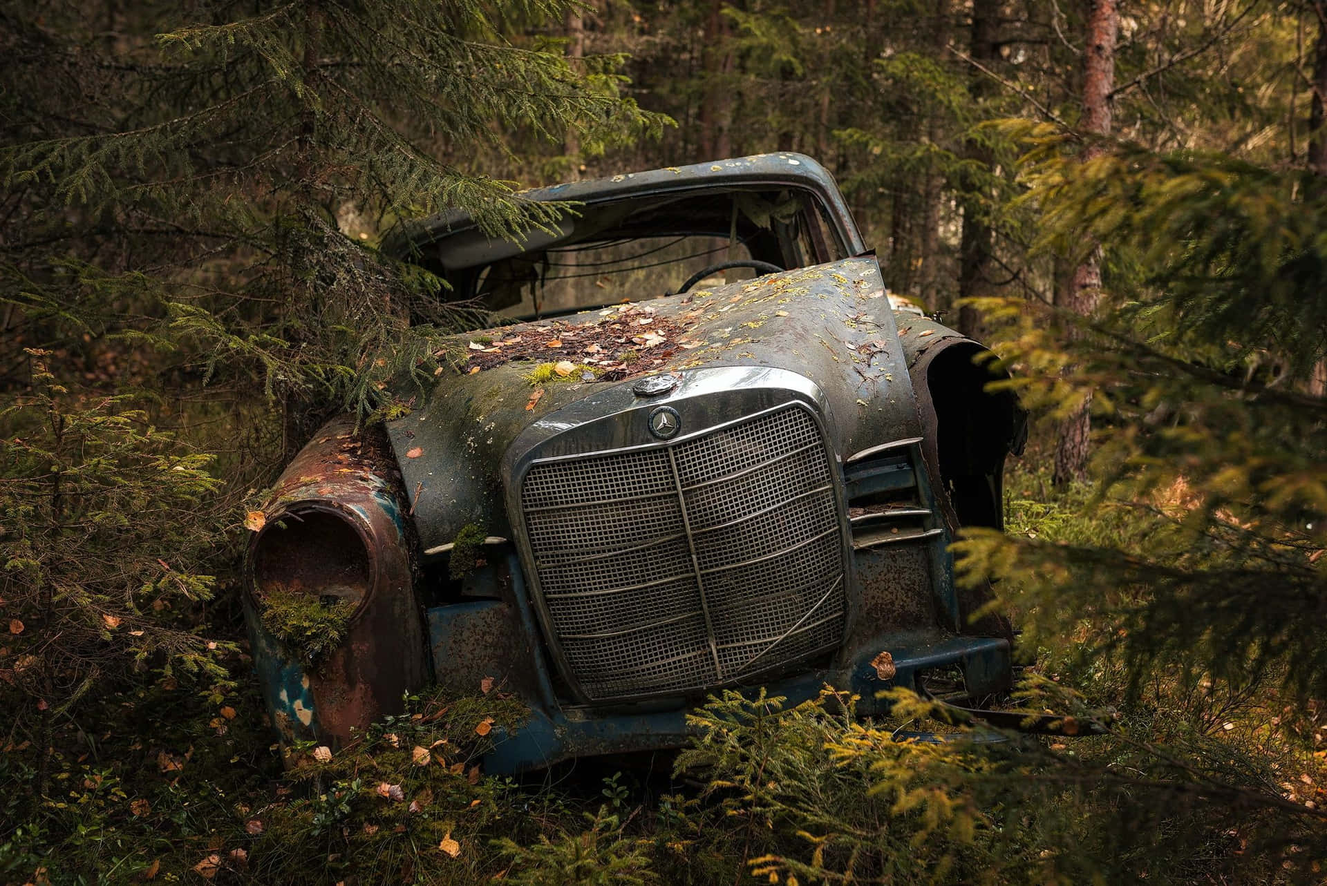 Download Old Mercedes Abandoned Car