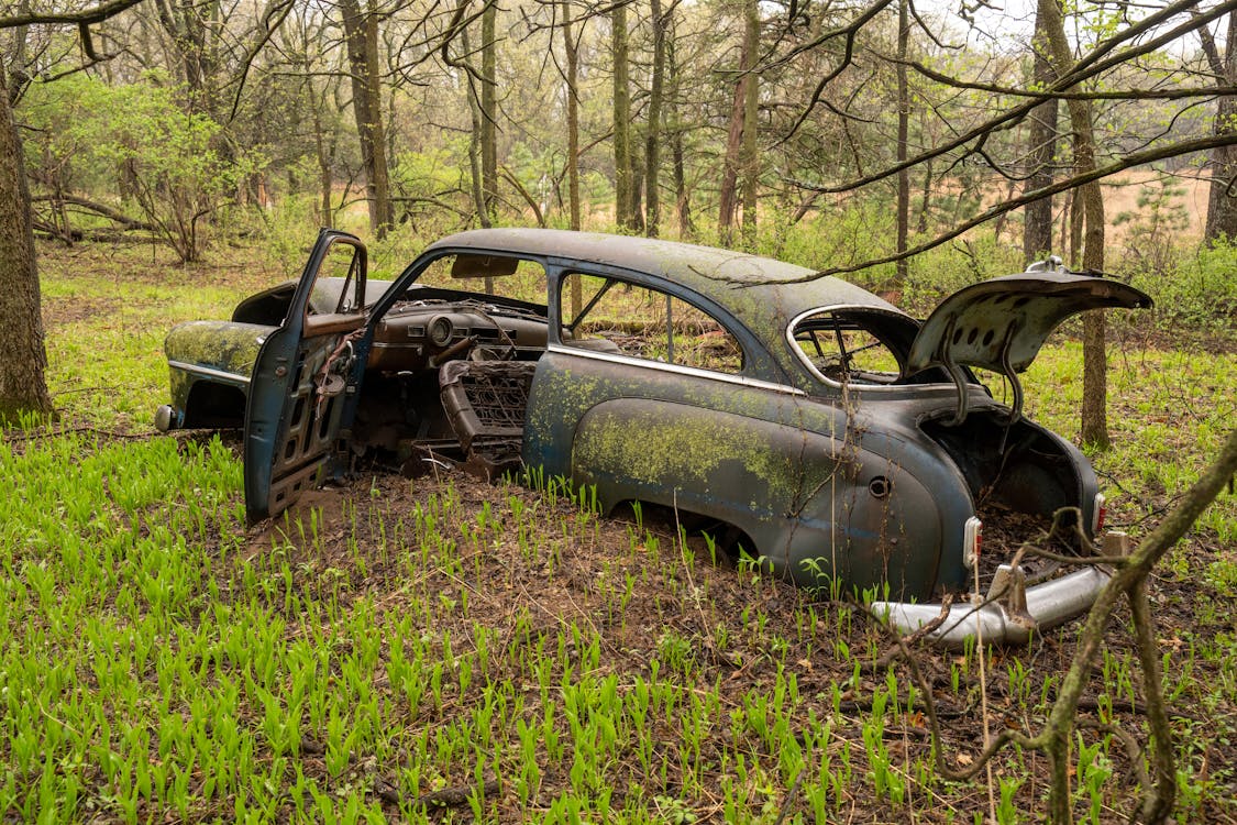 An Abandoned Car in the Forest · Free
