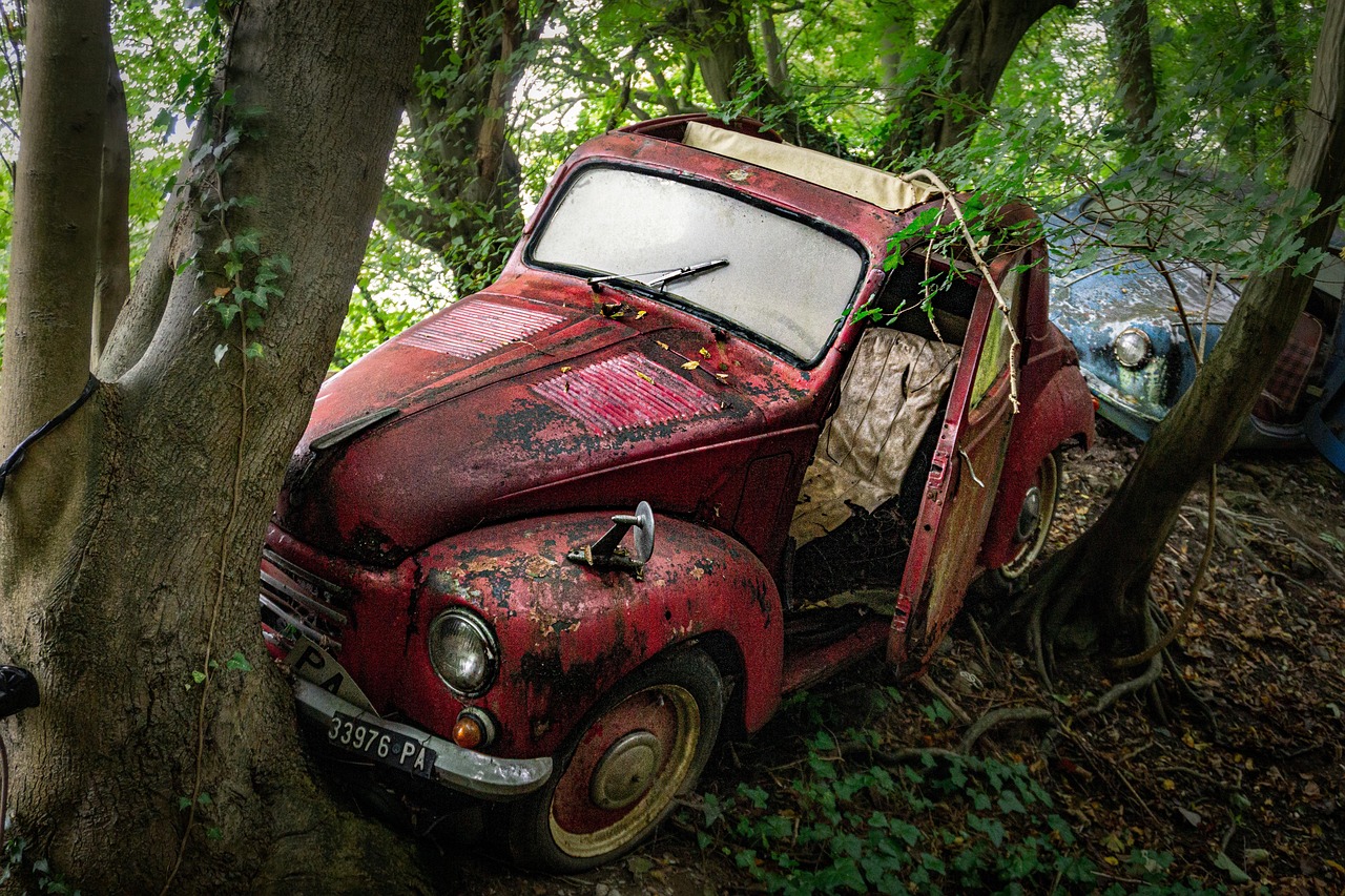 Junk Car Abandoned Forest photo