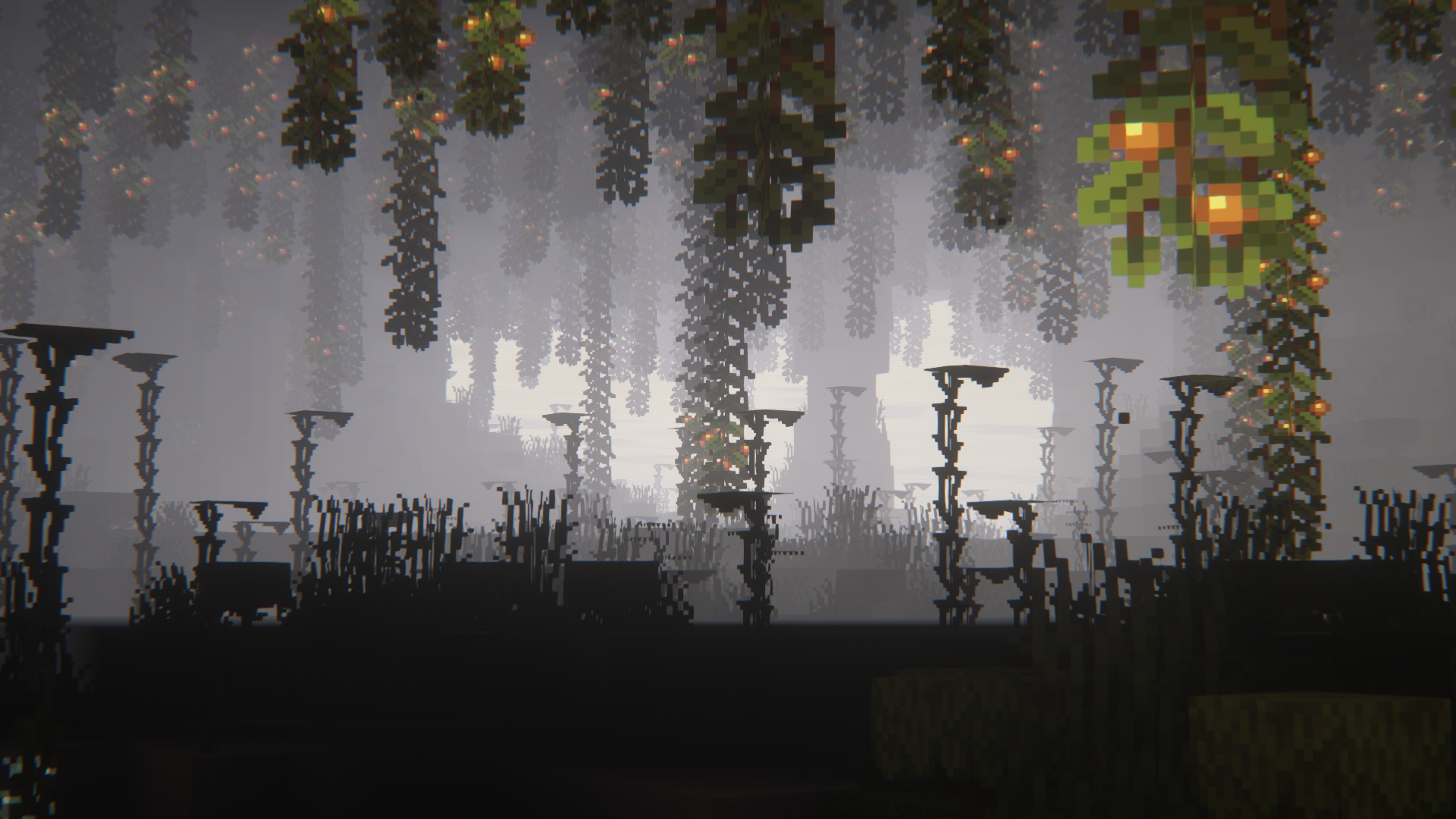 cool picture that i took in a lush cave