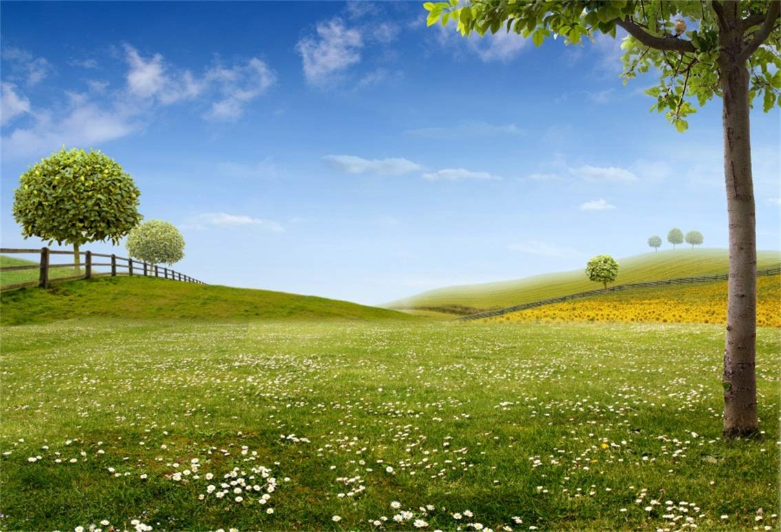 CSFOTO 8x6ft Background Spring Meadow