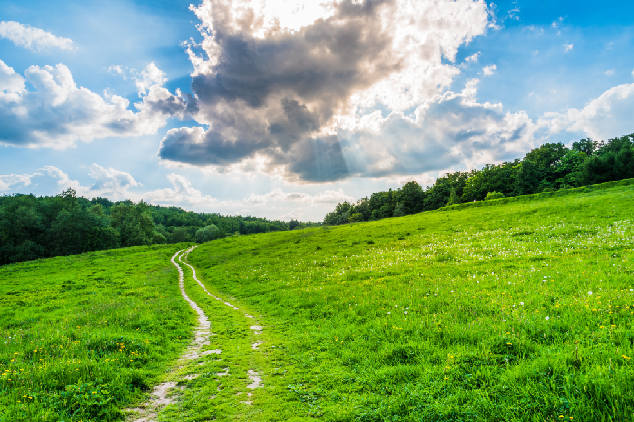 Farmland and Historic Preservation