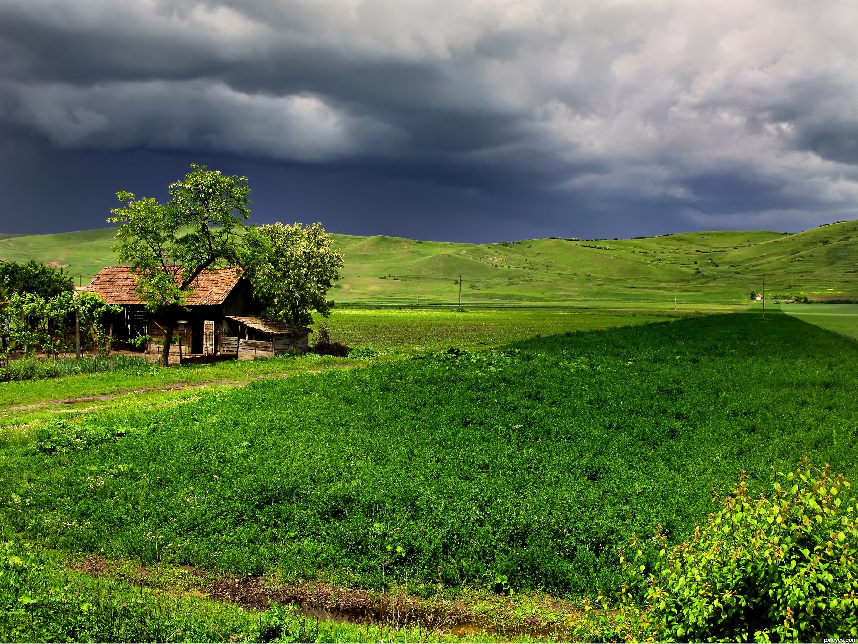 farm land photography contest