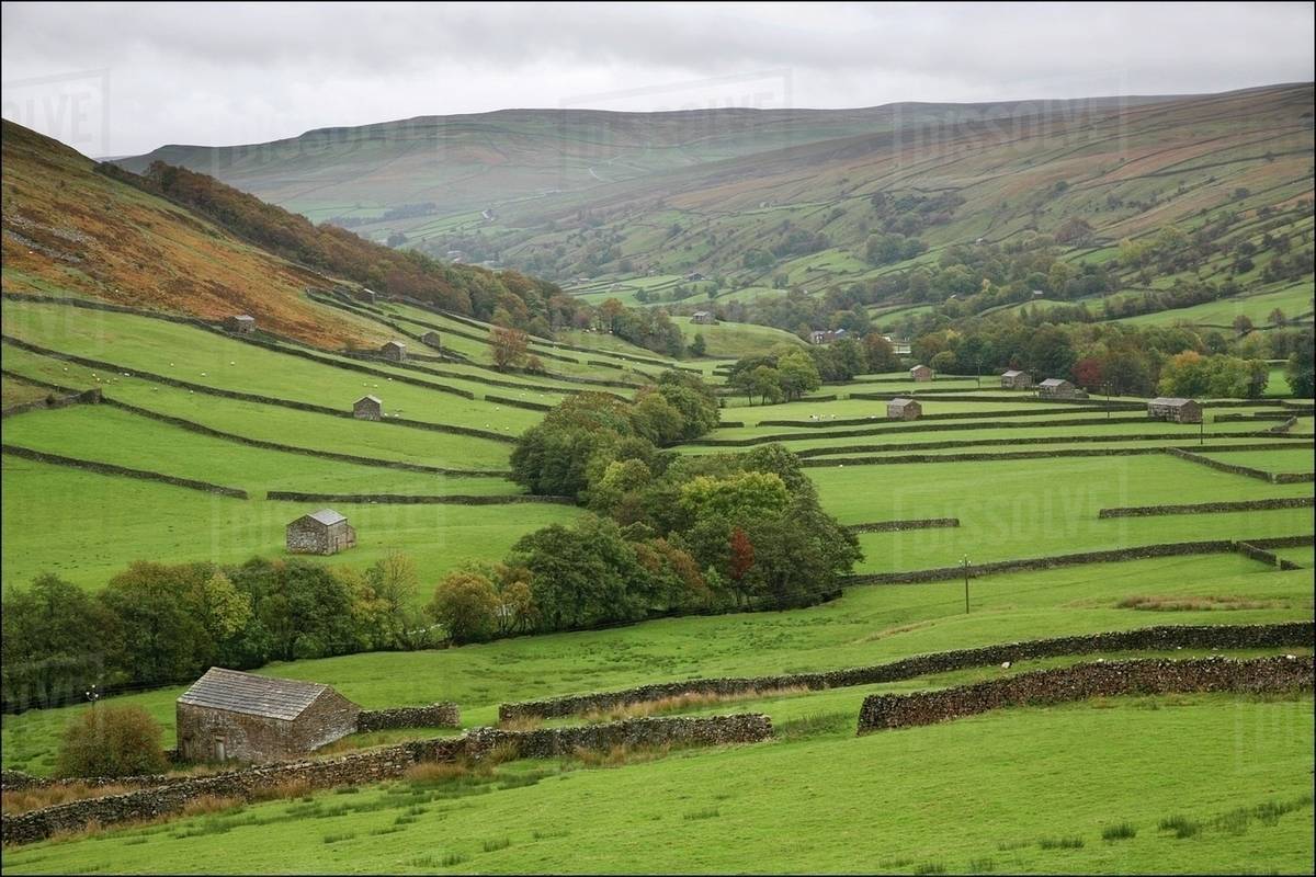 Farmland In The Valley, Yorkshire Dales