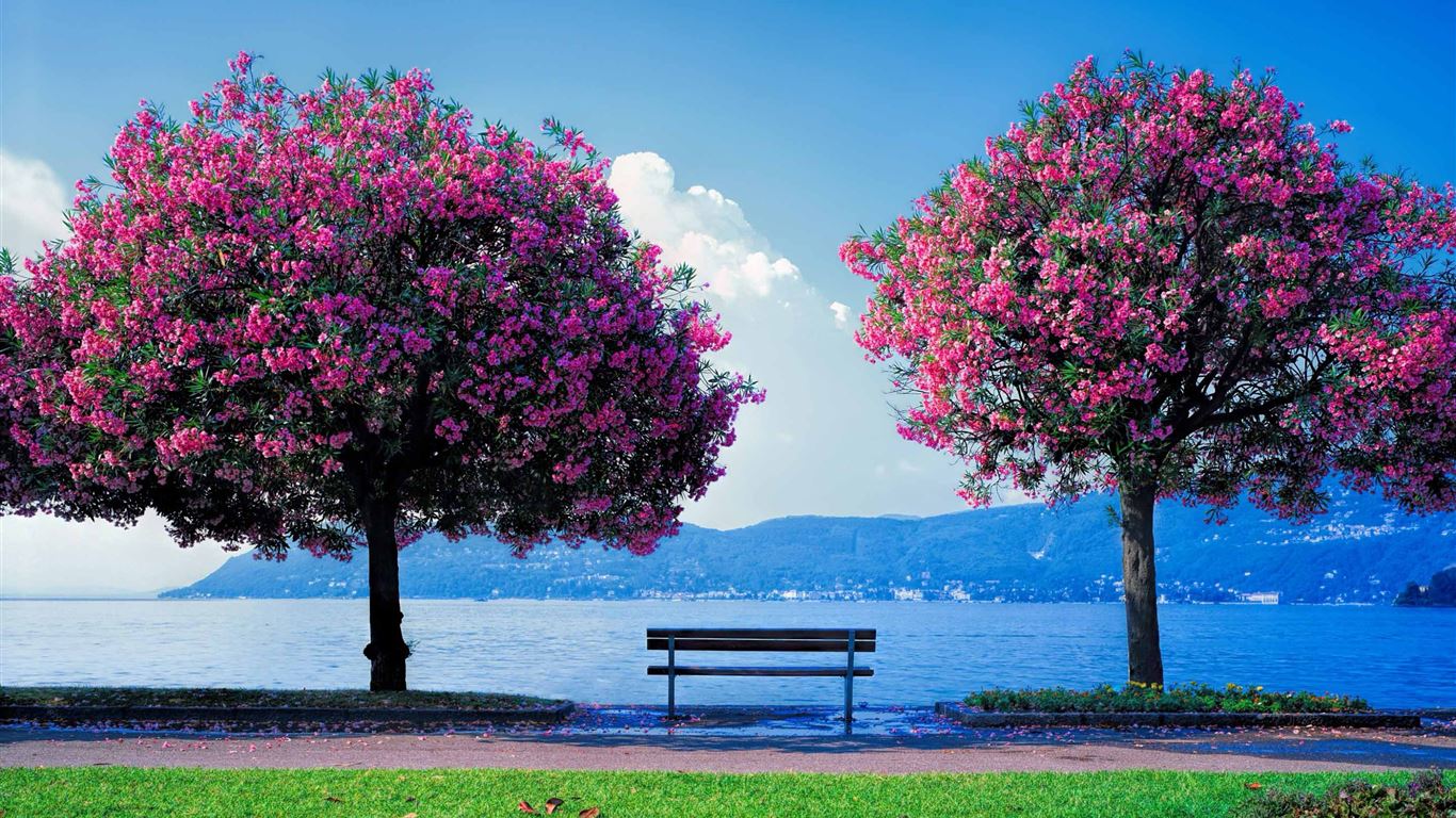 Spring Fishing MacBook Air Wallpaper