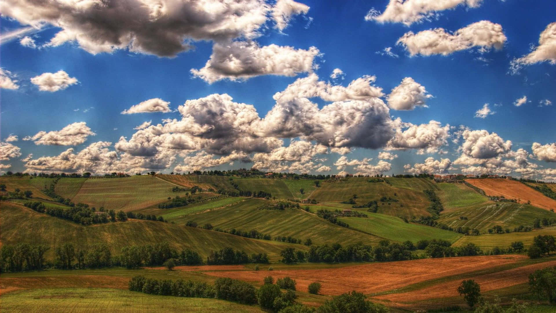 Spring Dual Screen Wallpaper