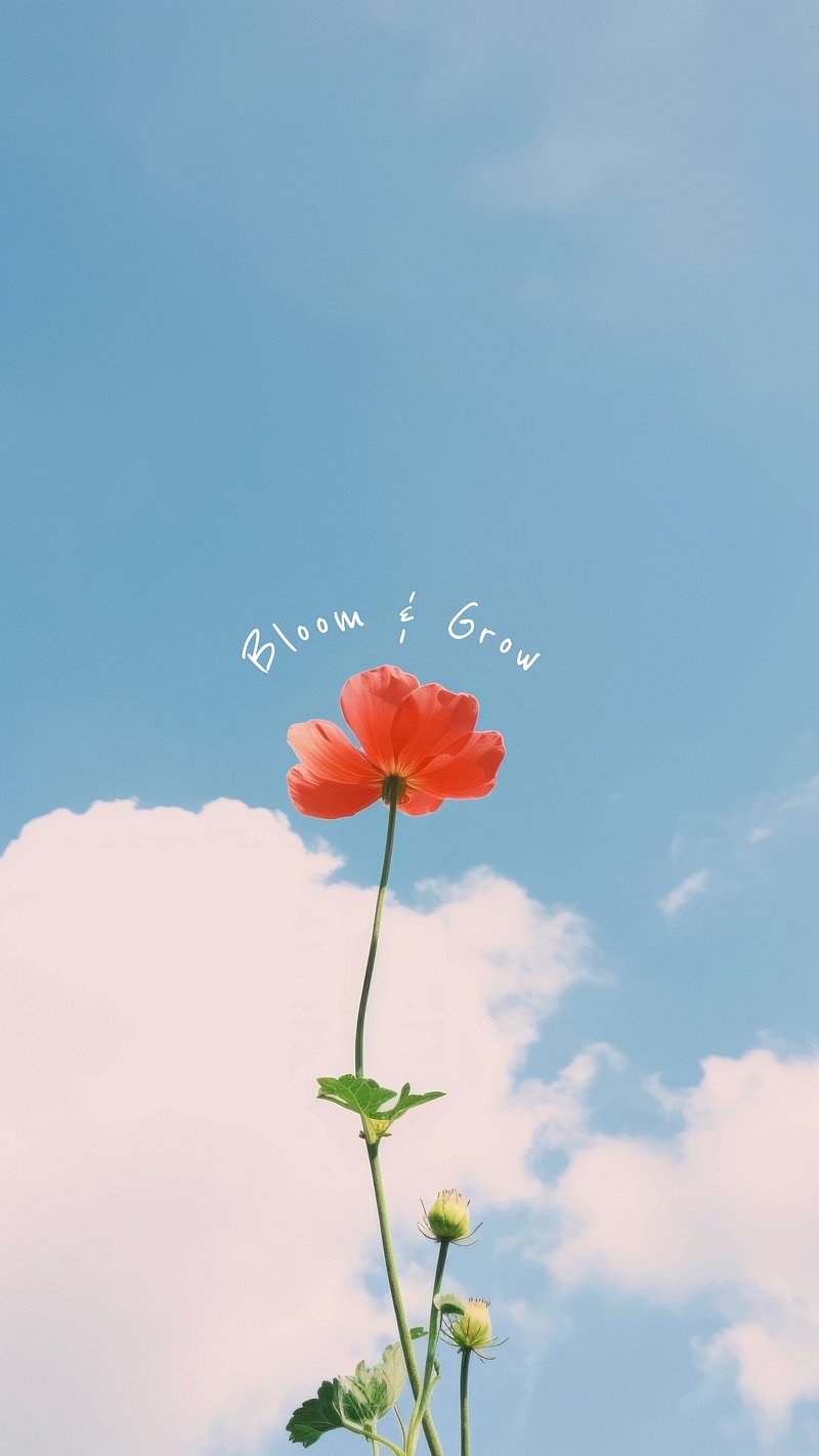 Flower Wallpaper Aesthetic Image