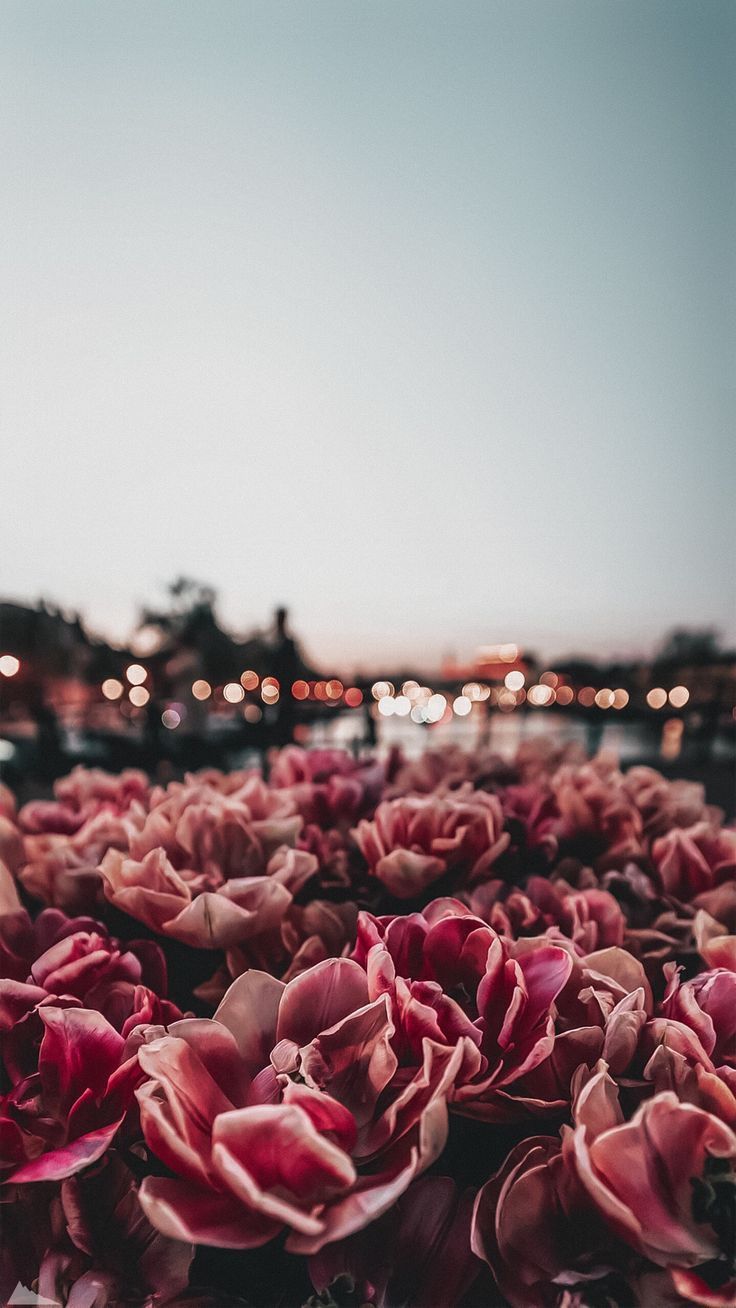 COOL PHONE WALLPAPERS 6