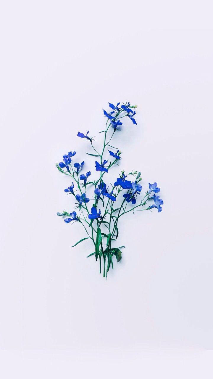 Blue Flowers Phone Wallpaper
