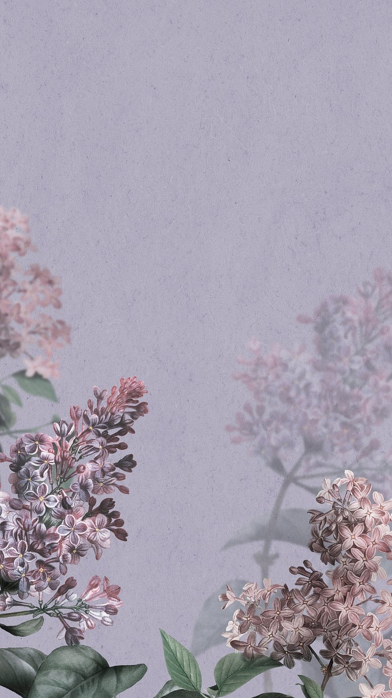 Background iPhone Lilac Image. Free