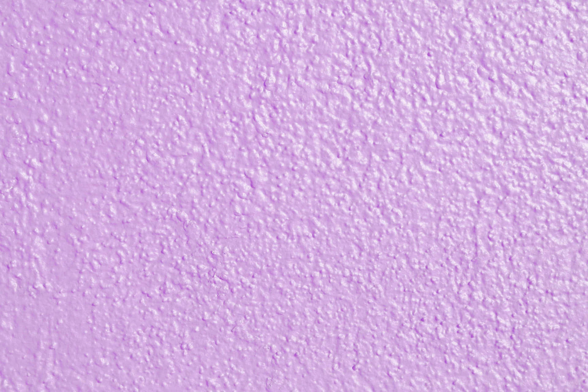 Lilac Color Wallpaper