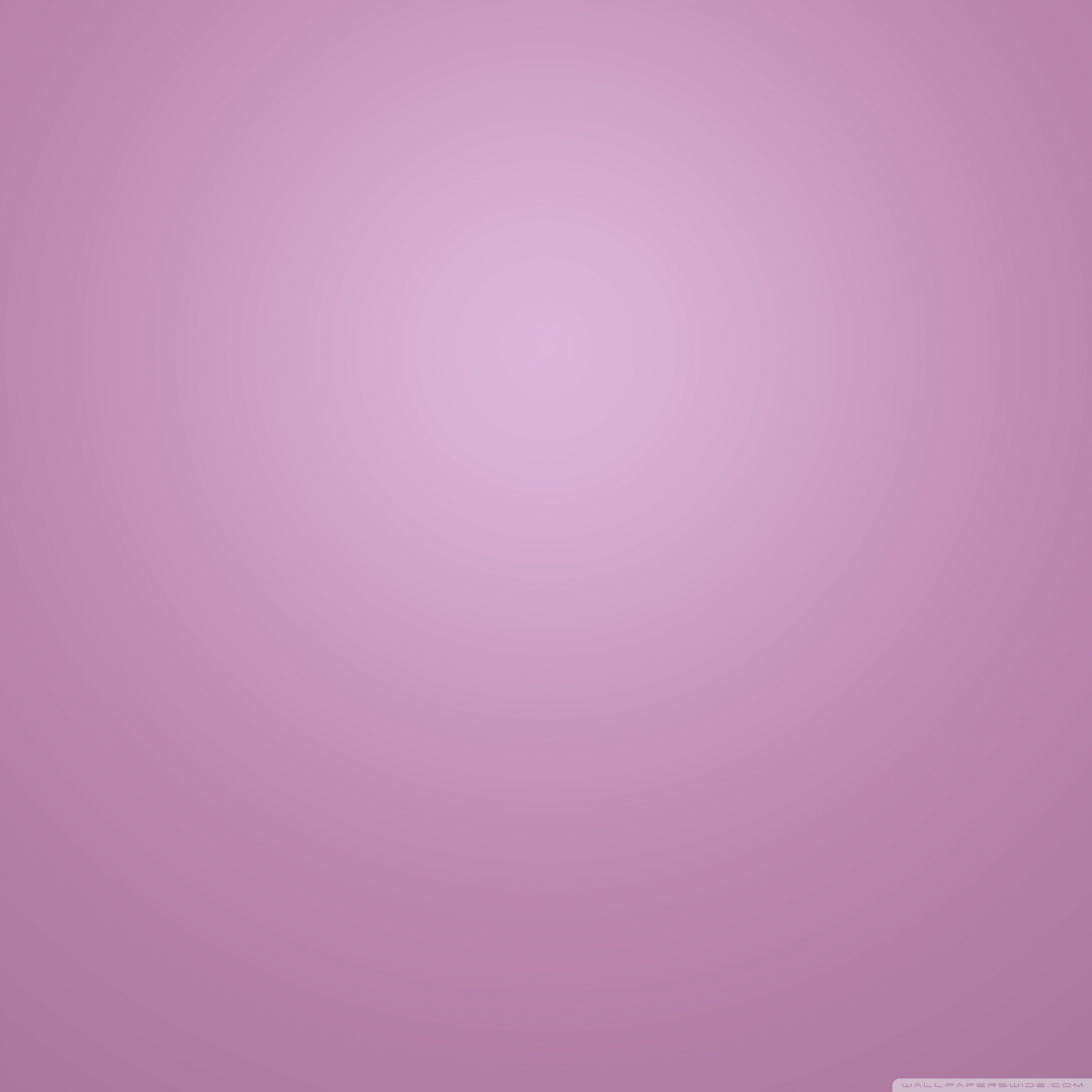 Purple Lilac Color Ultra HD Wallpaper