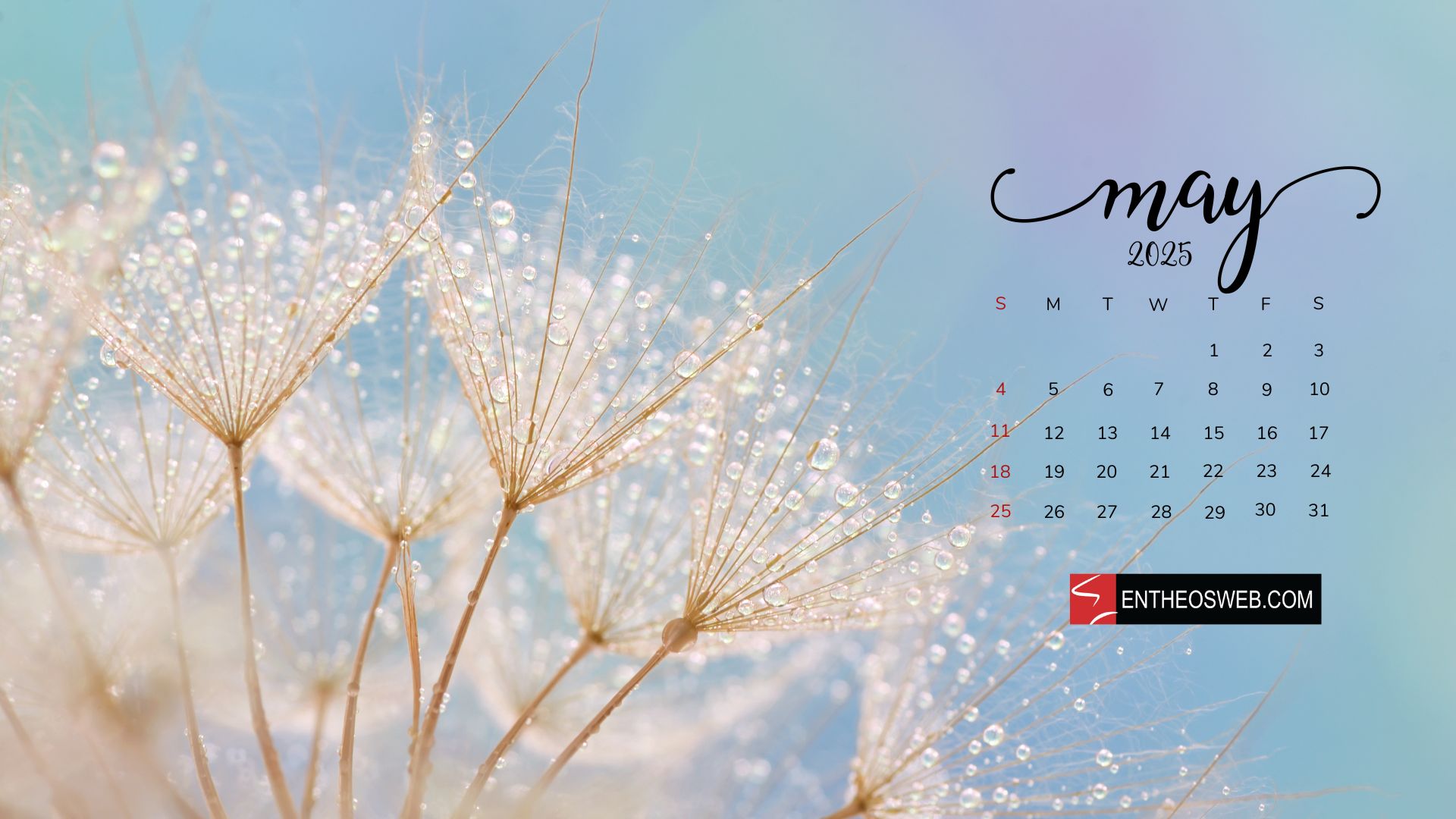 May 2025 Calendar Desktop Wallpaper