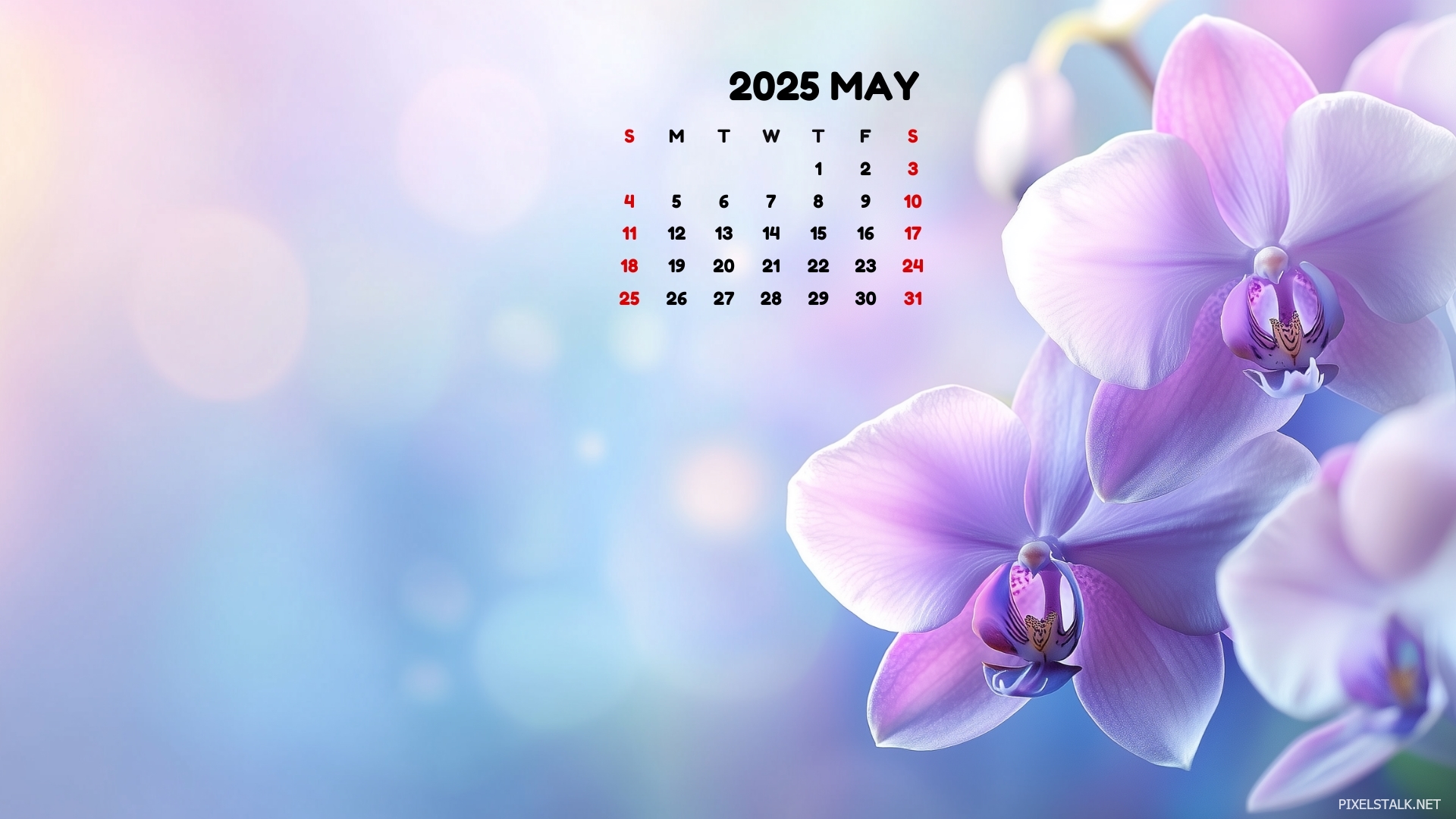 May 2025 Calendar Desktop Background