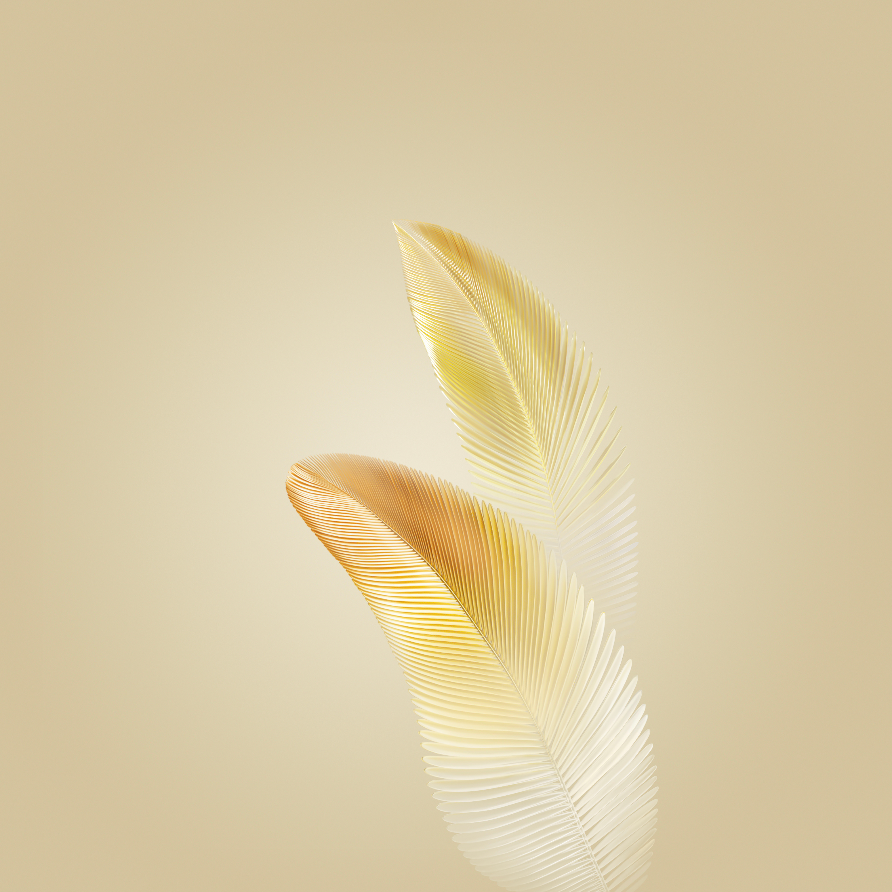 Honor Magic 6 (Pro) Stock Wallpaper