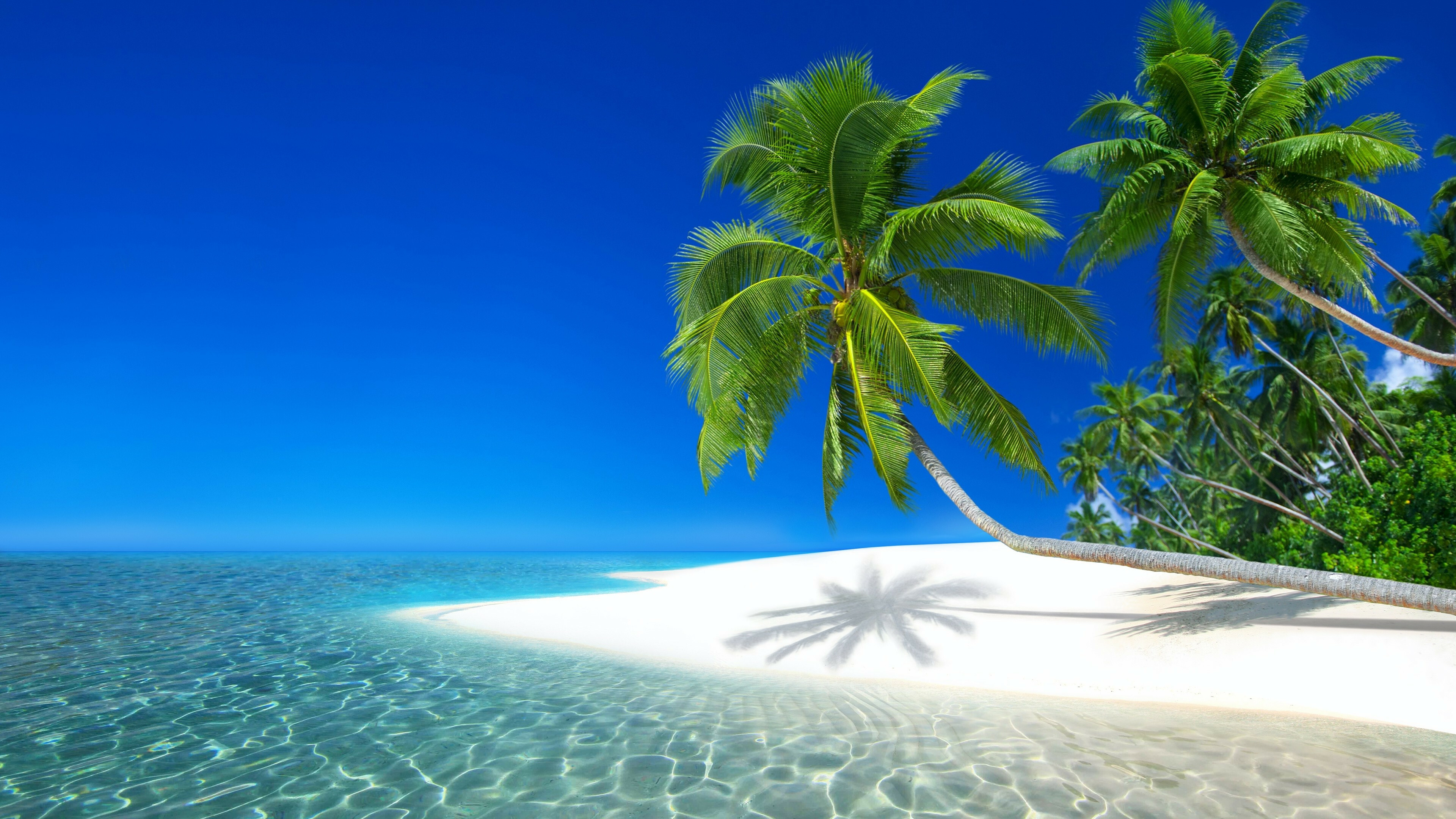 Island Wallpaper