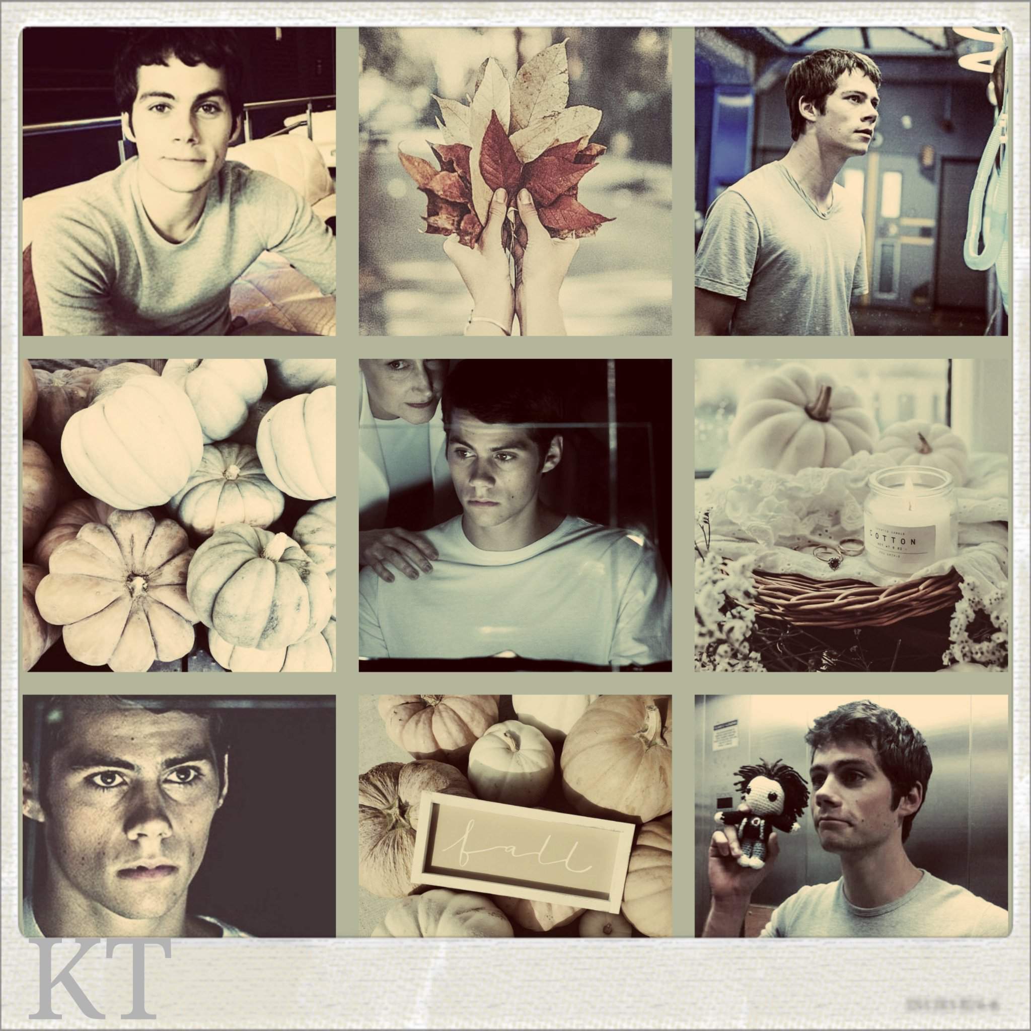 Thomas: Fall aesthetic. Dylan O'Brien