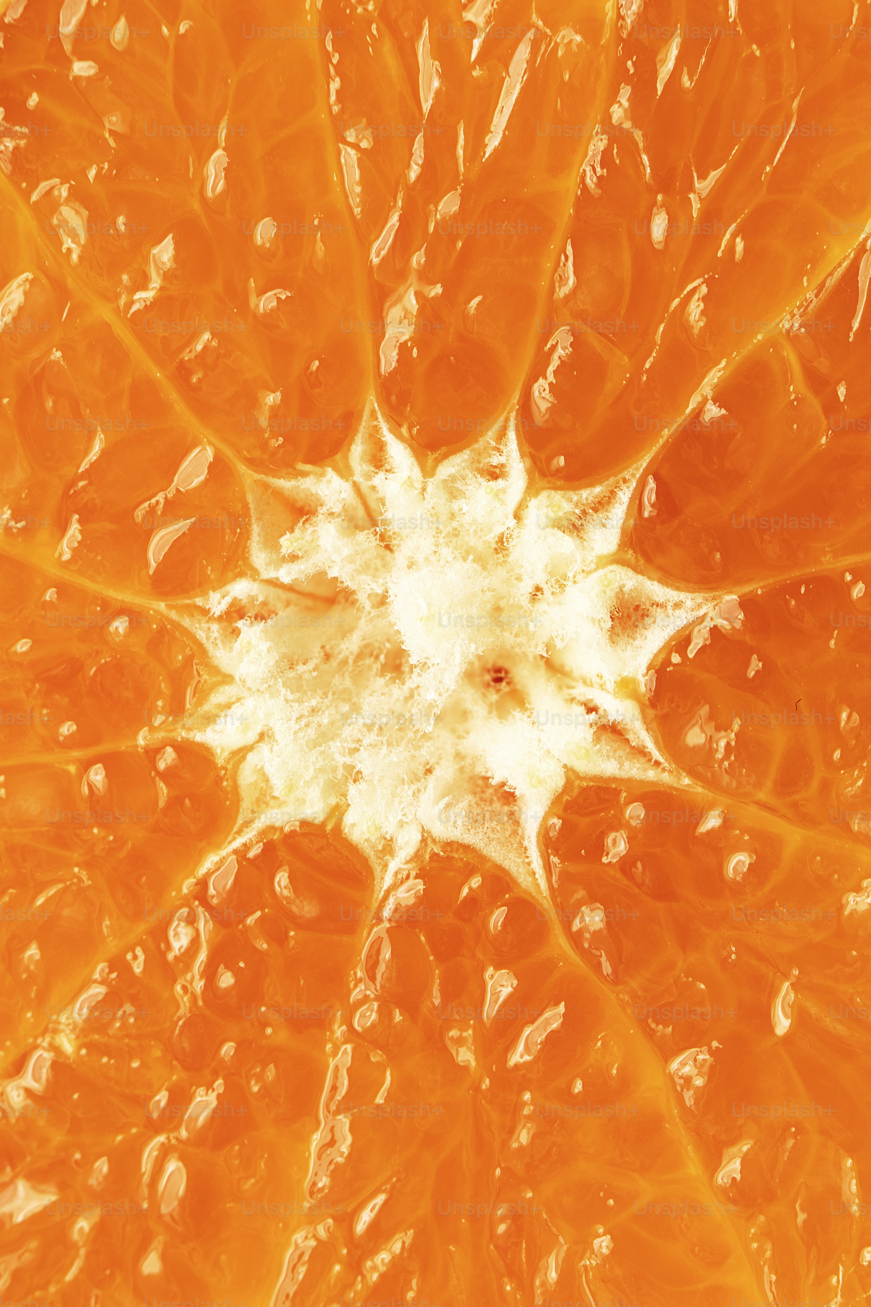 Orange Fruit Picture. Download Free