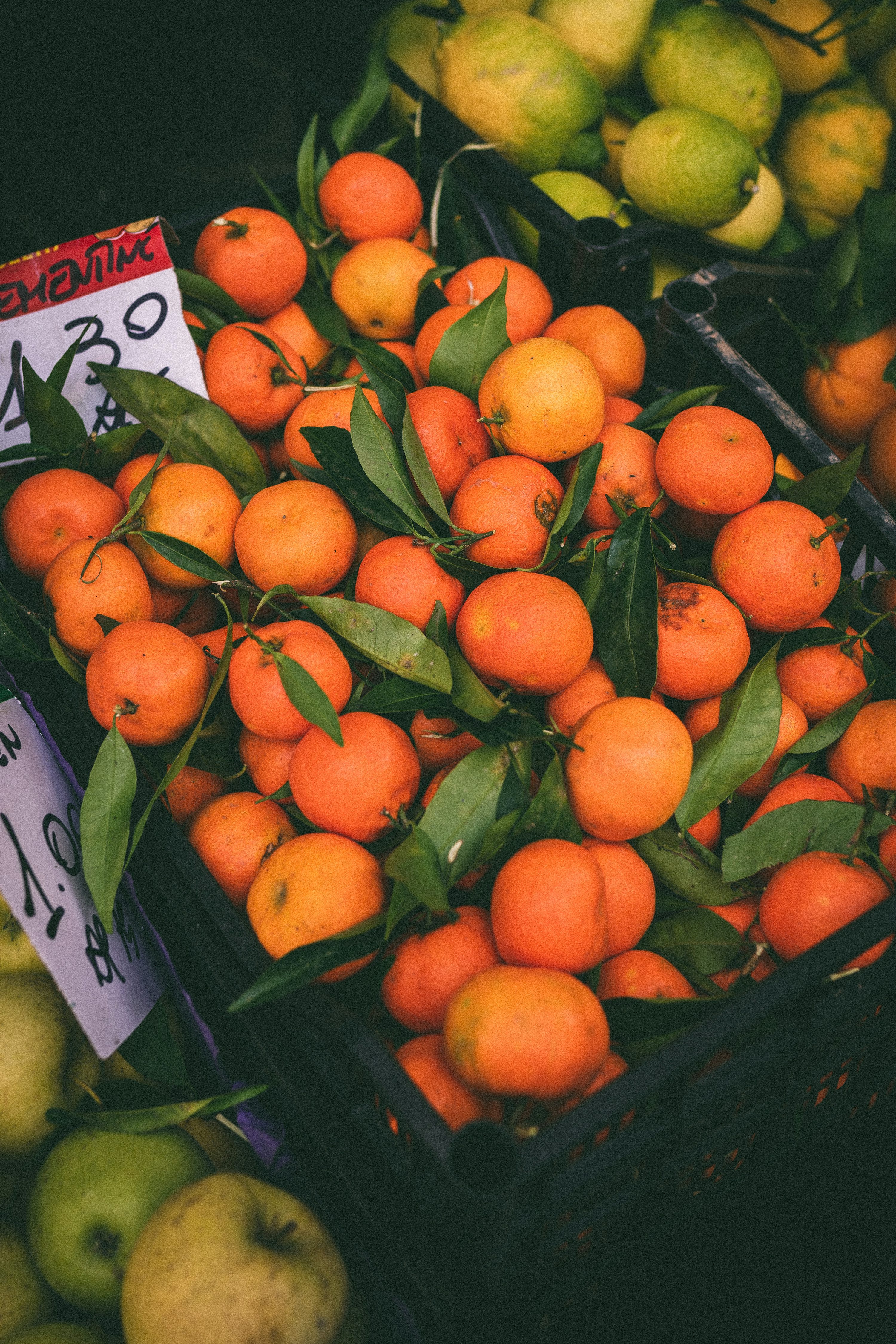 Orange Fruit Picture. Download Free