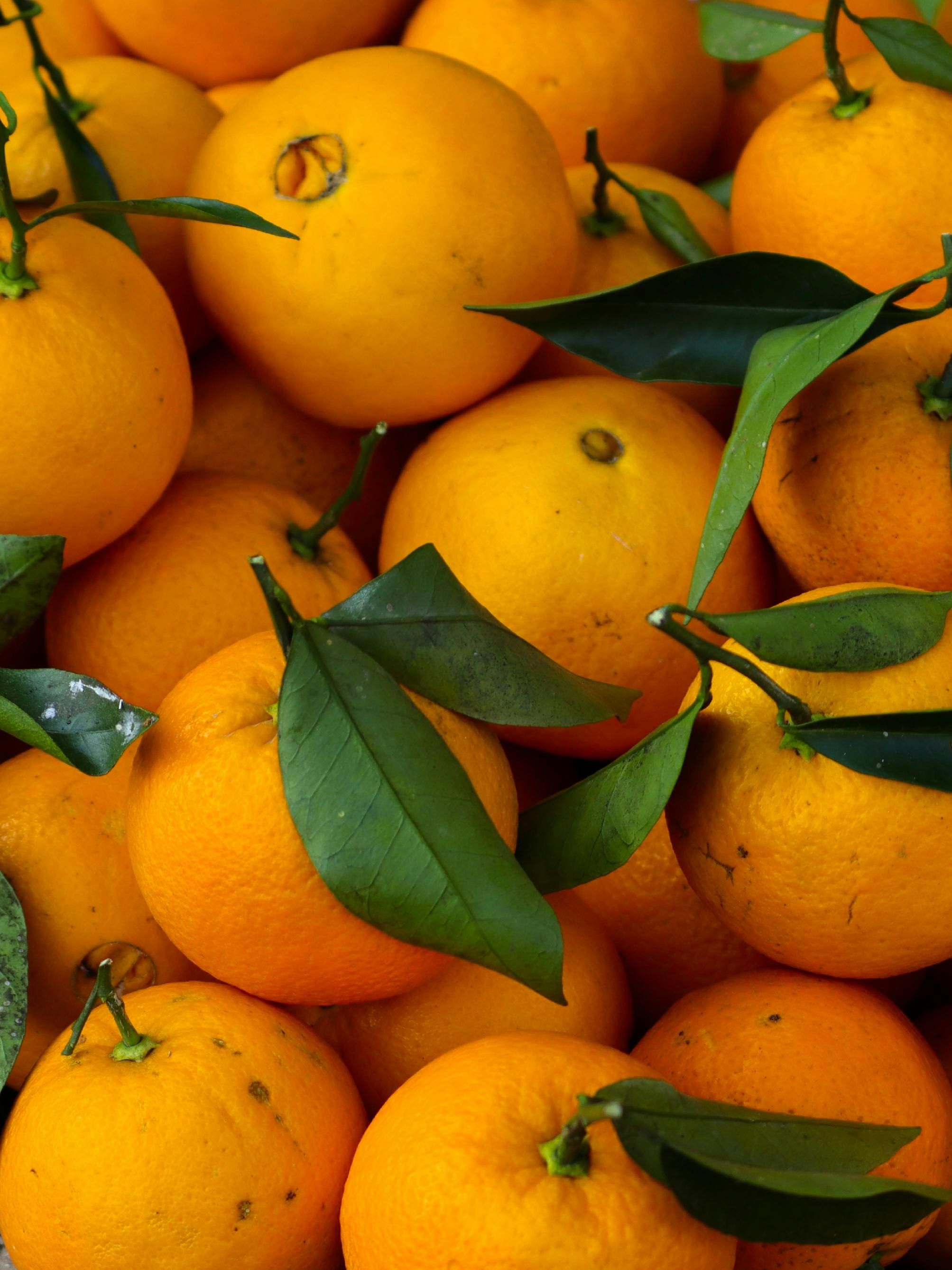 Orange Fruit on White Textile