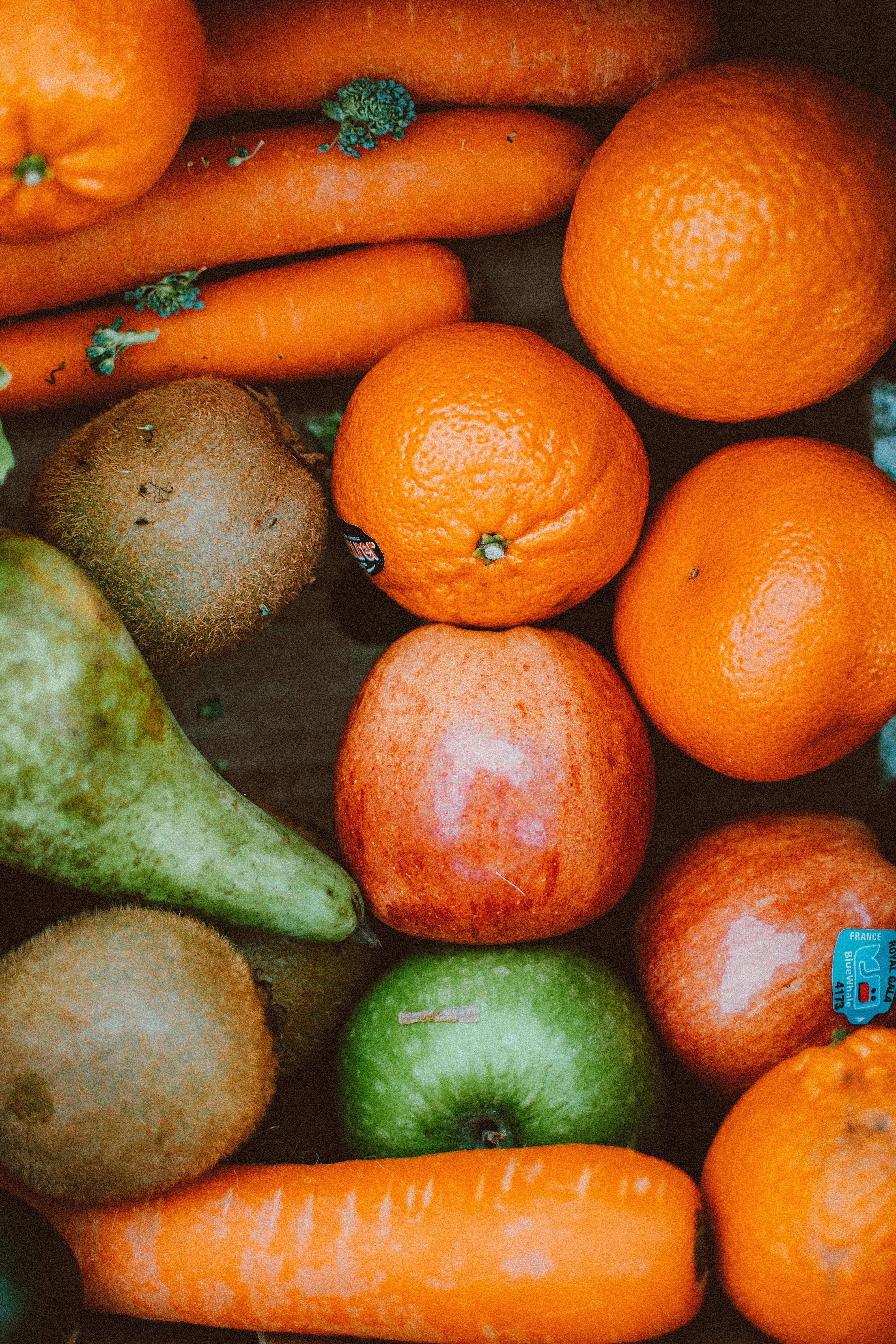 Bunch of Fruits · Free